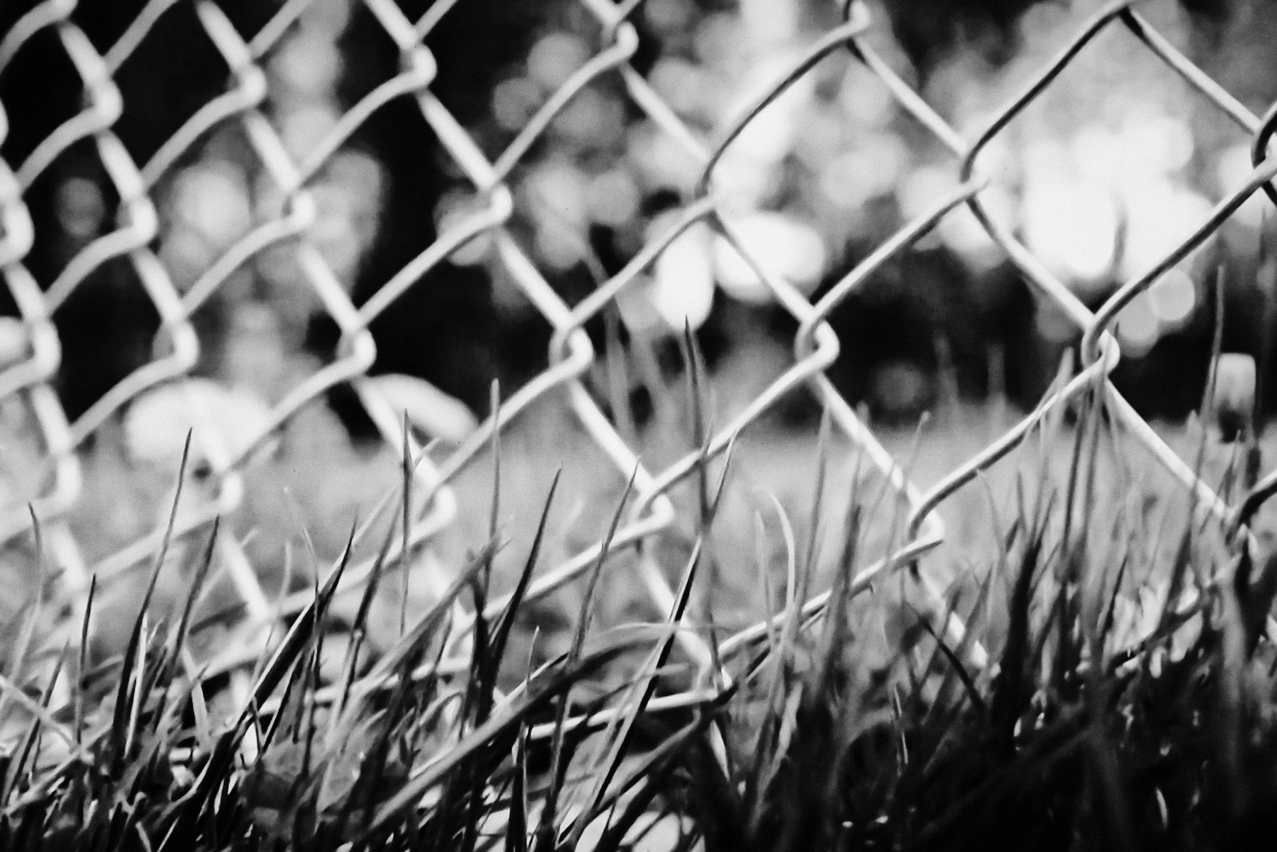Fence and Autumn Flowers - Meulebeke