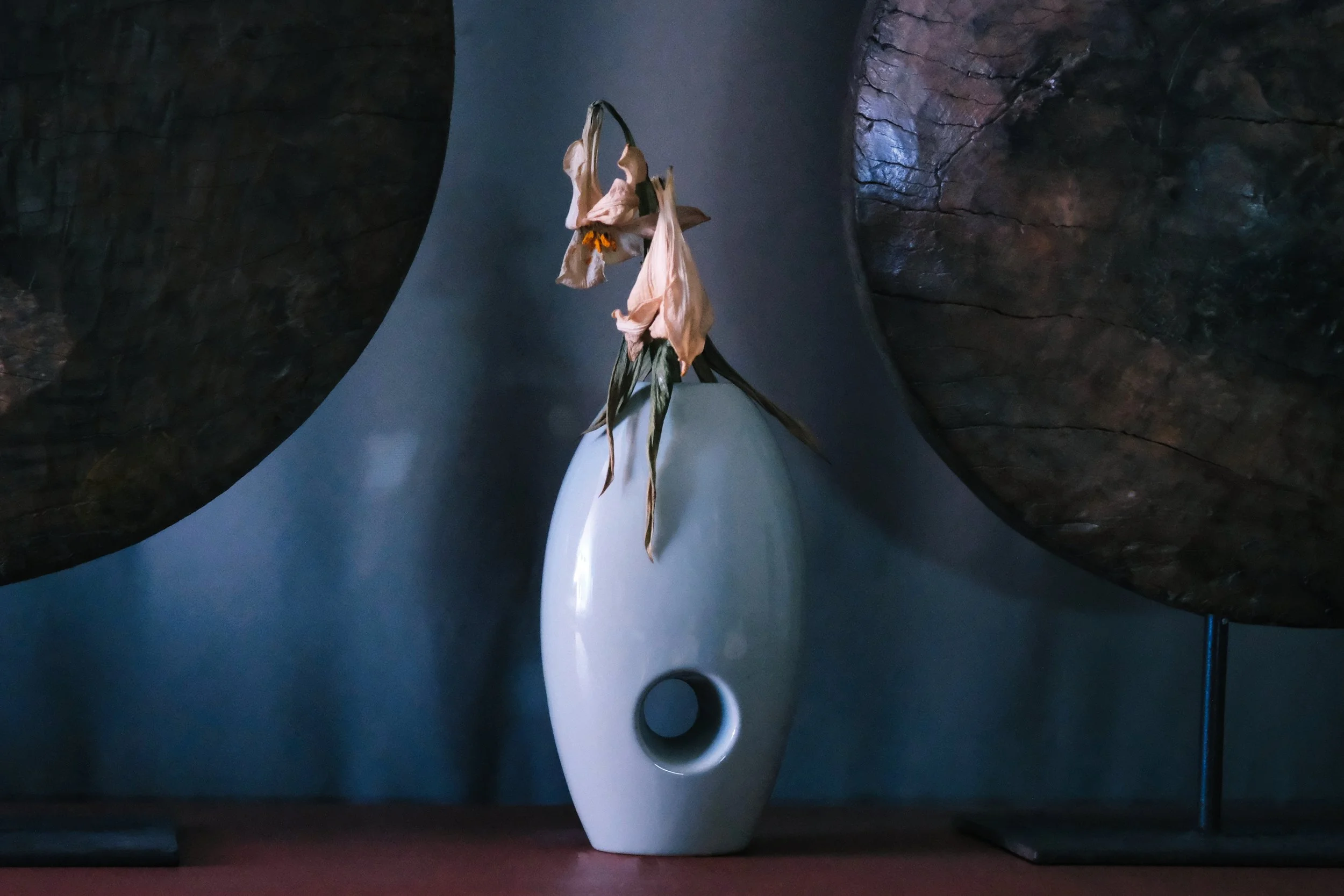 Wilted Flowers - Studio Dentergem