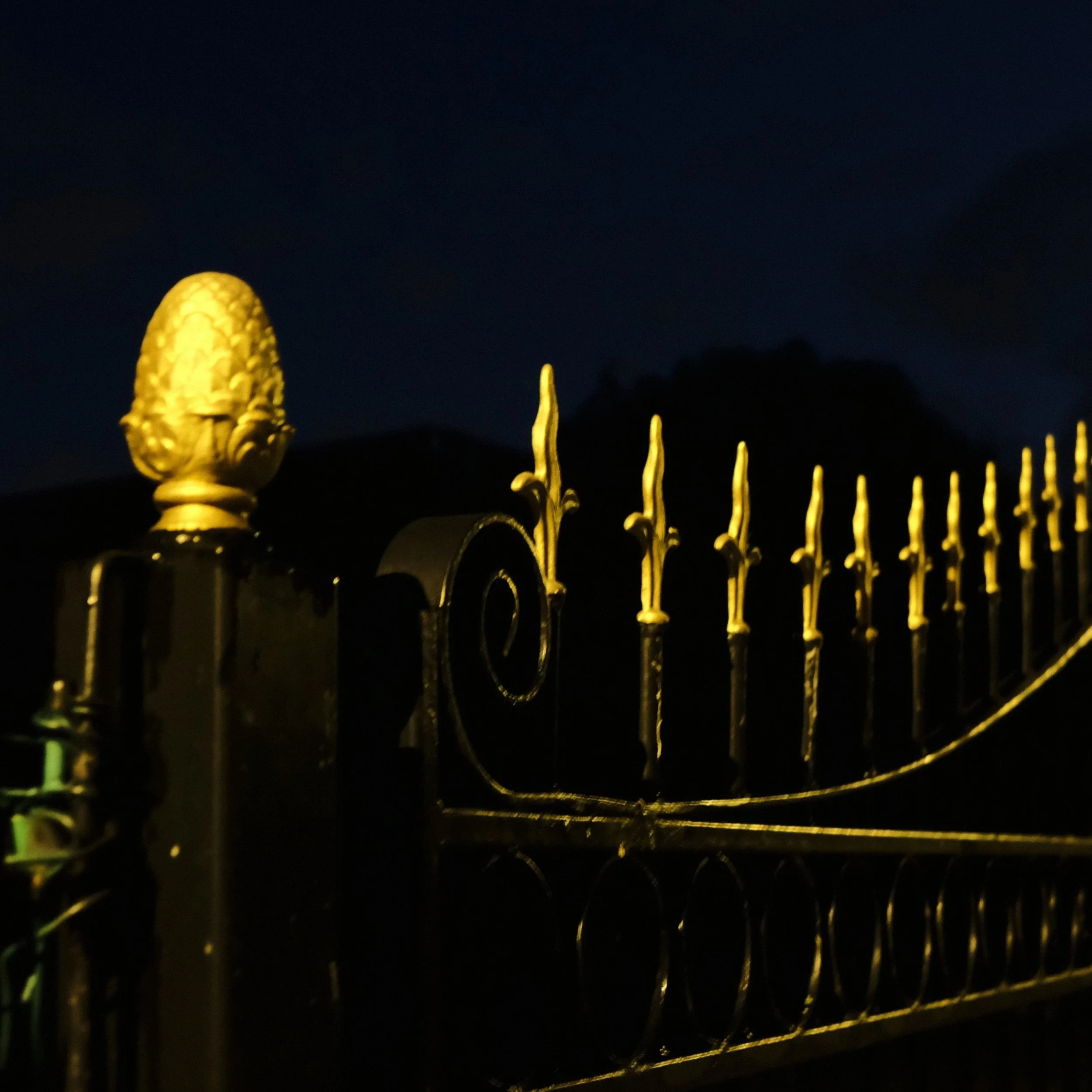 Golden Fence - Dentergem