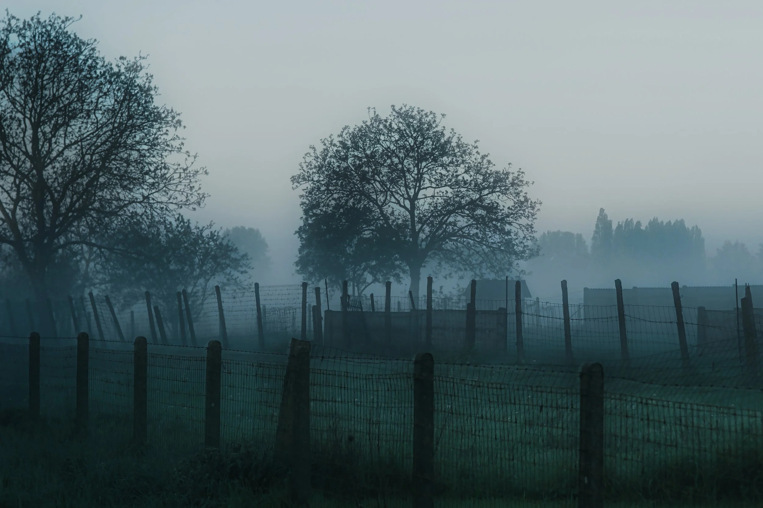 Misty Photograph - Take #4 - Dentergem