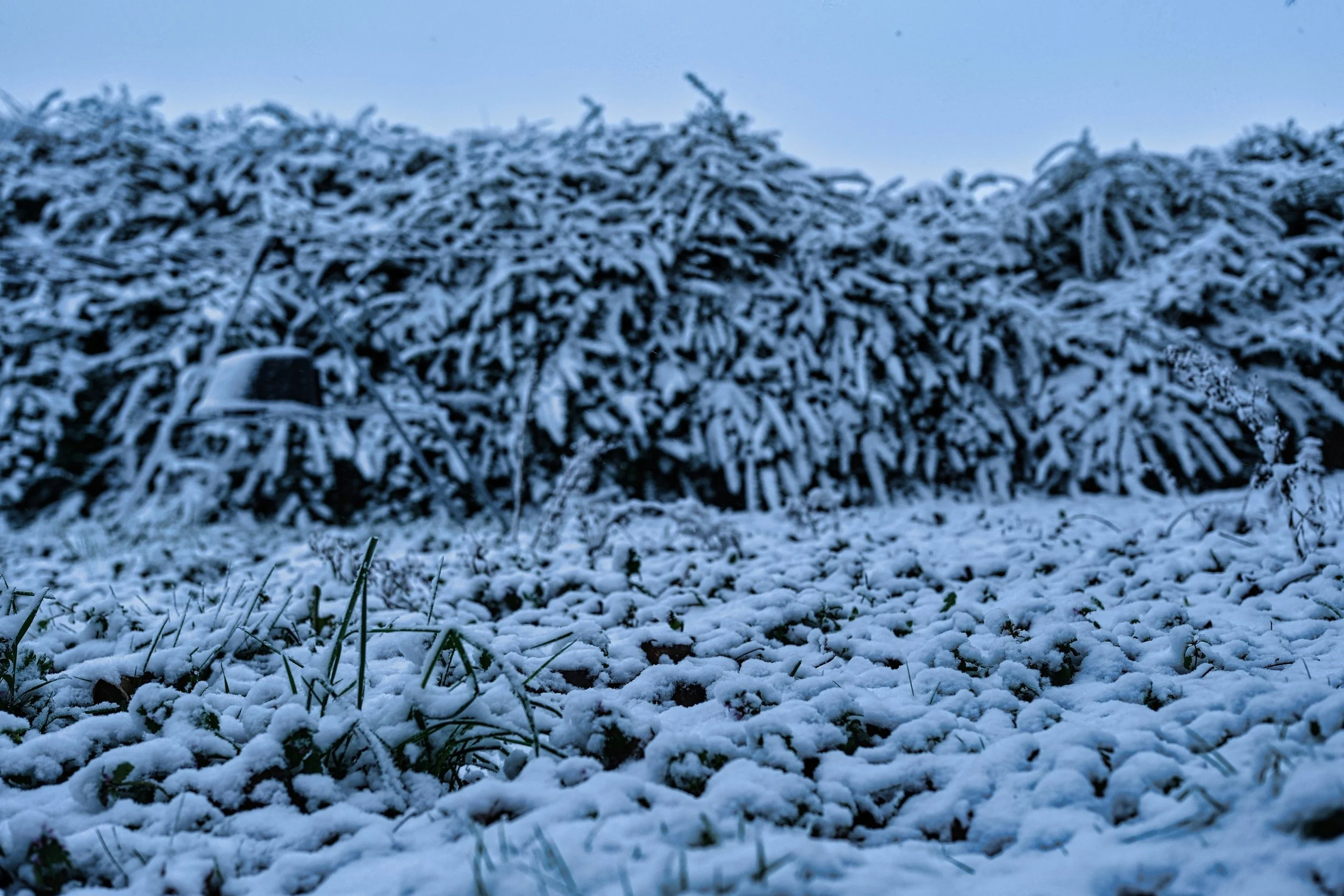 Camouflaged Drying Rack - feb 2026 - Dentergem