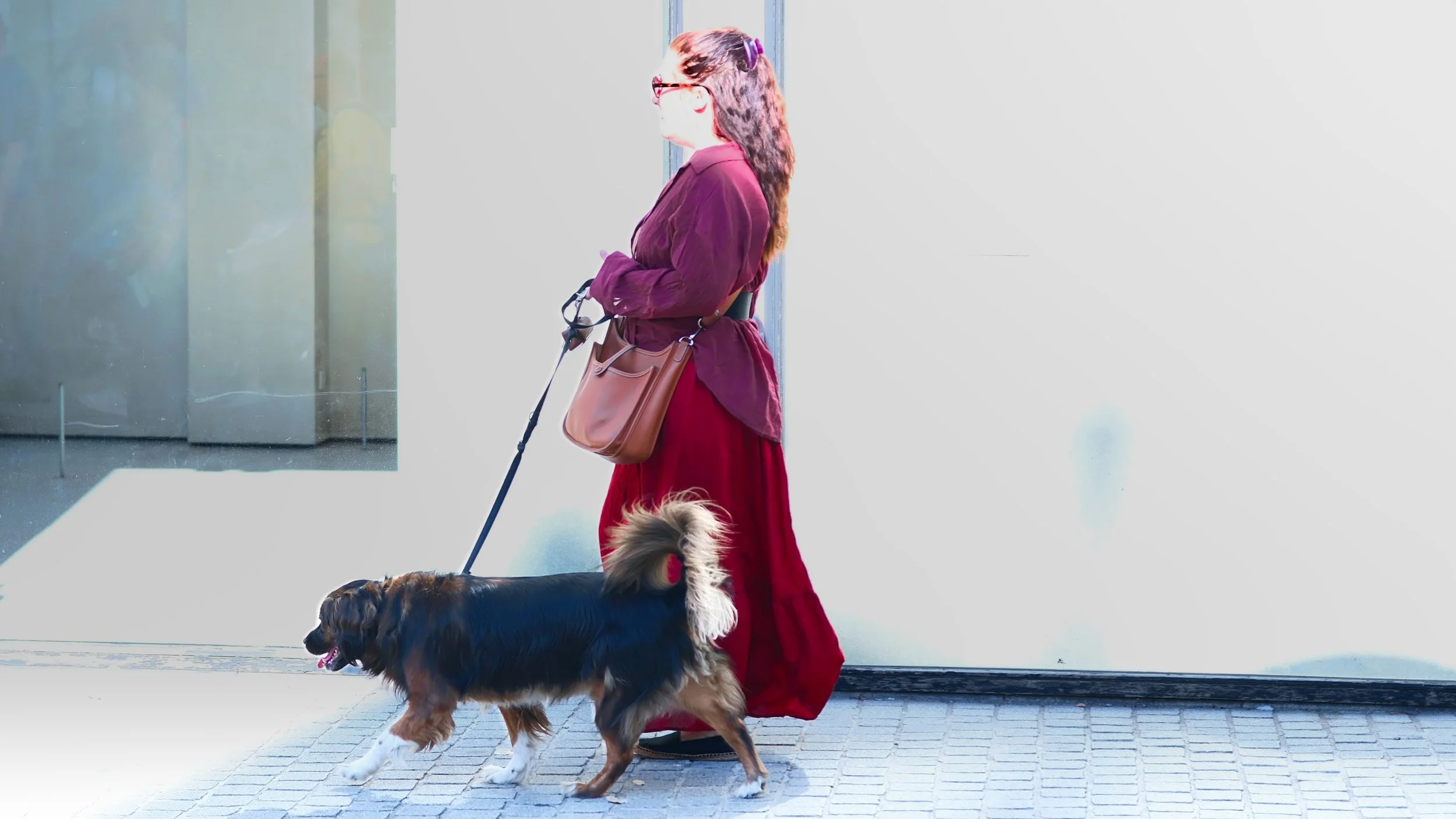 Walking the Dog - Antwerp