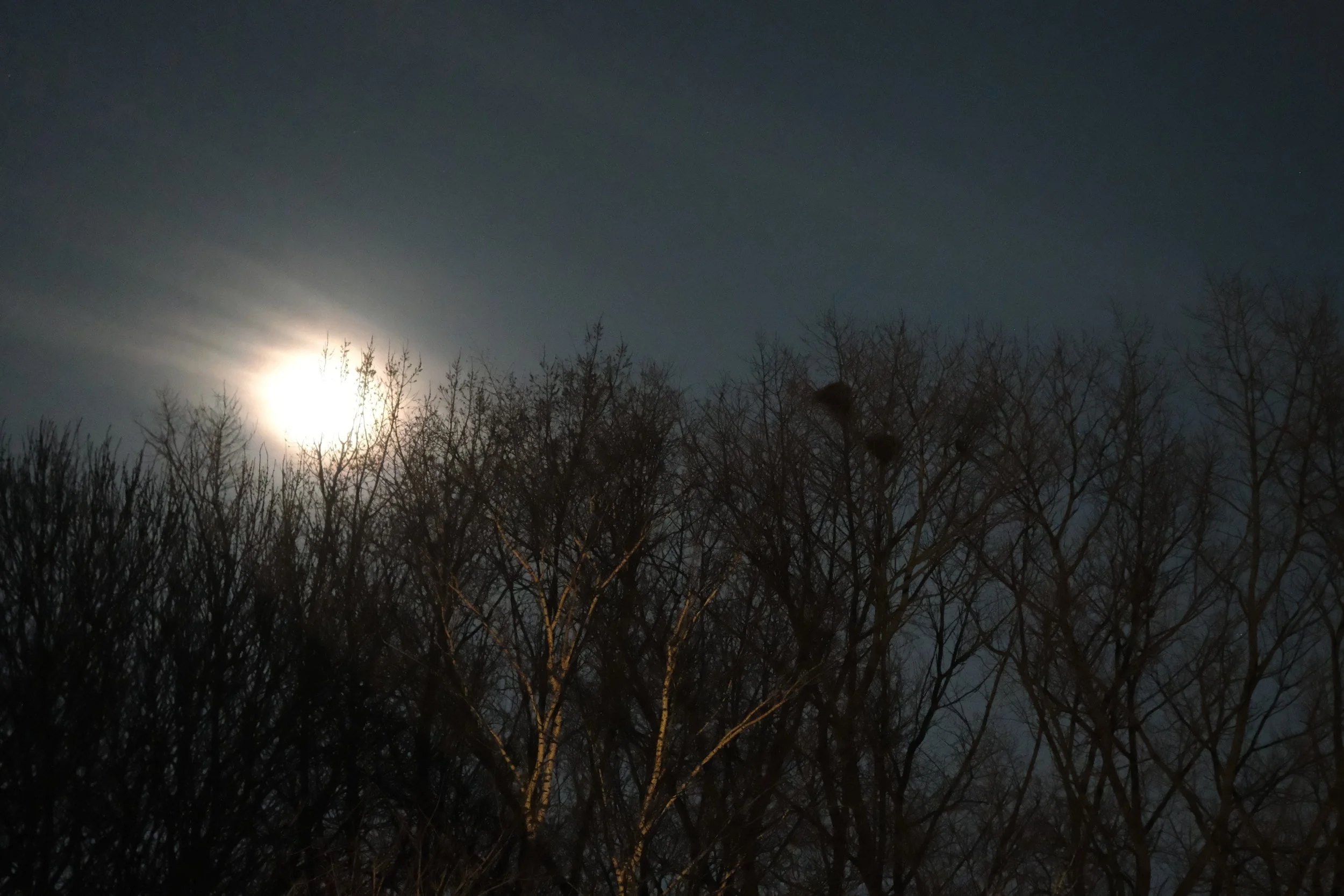 The Moon has Eyes and look at Me - mar 2026 - Dentergem