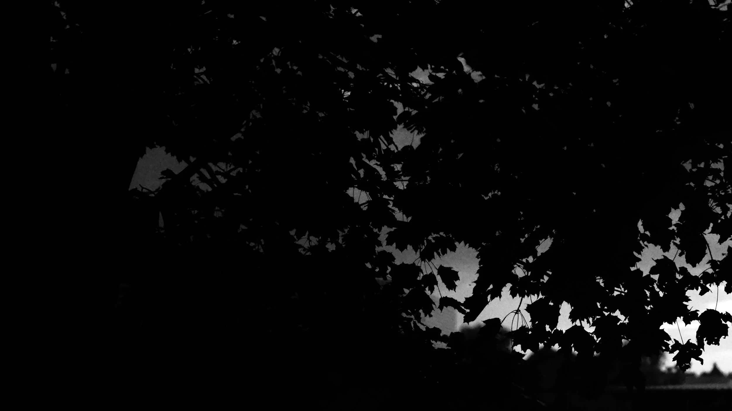 Faint Pale Sky - Dentergem