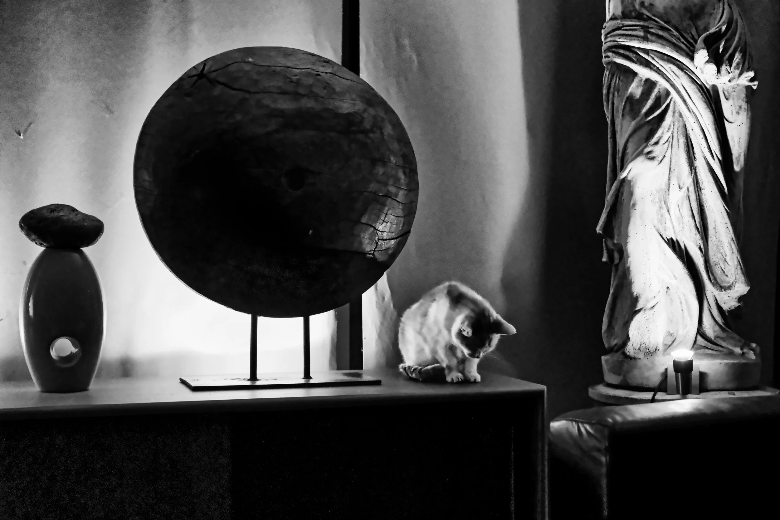 Nocturnal Interior with Cat - Studio Dentergem
