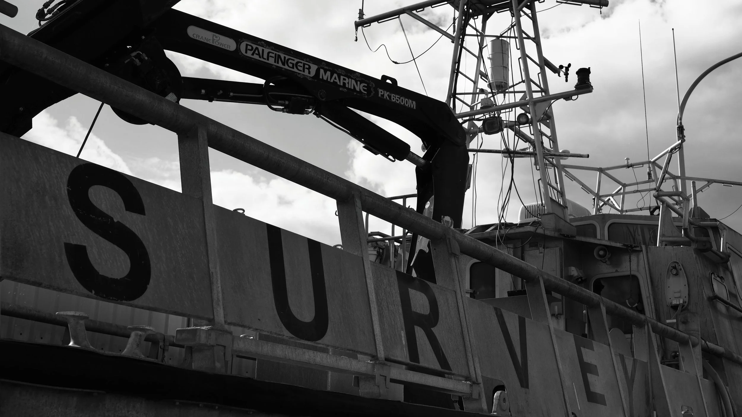 Survey - Newport