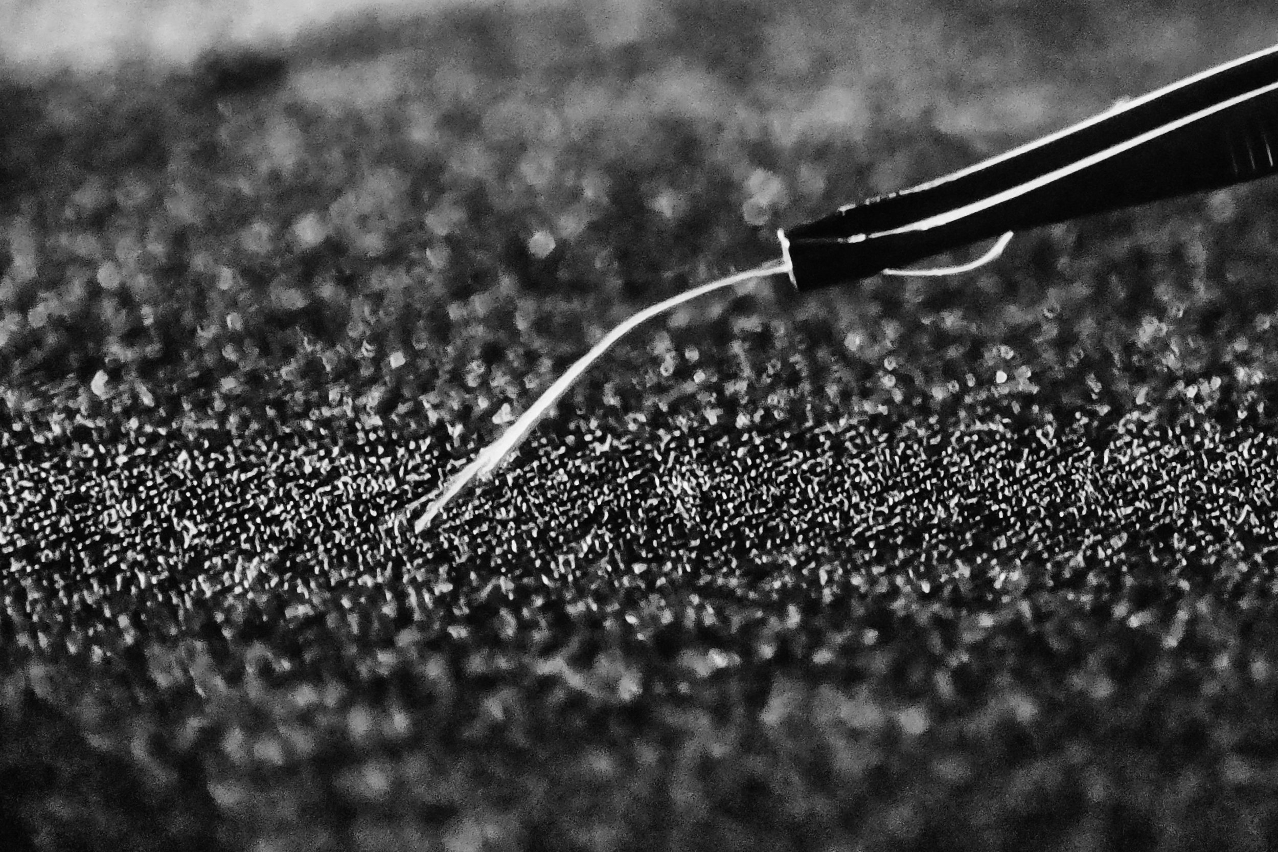 Fiber - Studio Dentergem