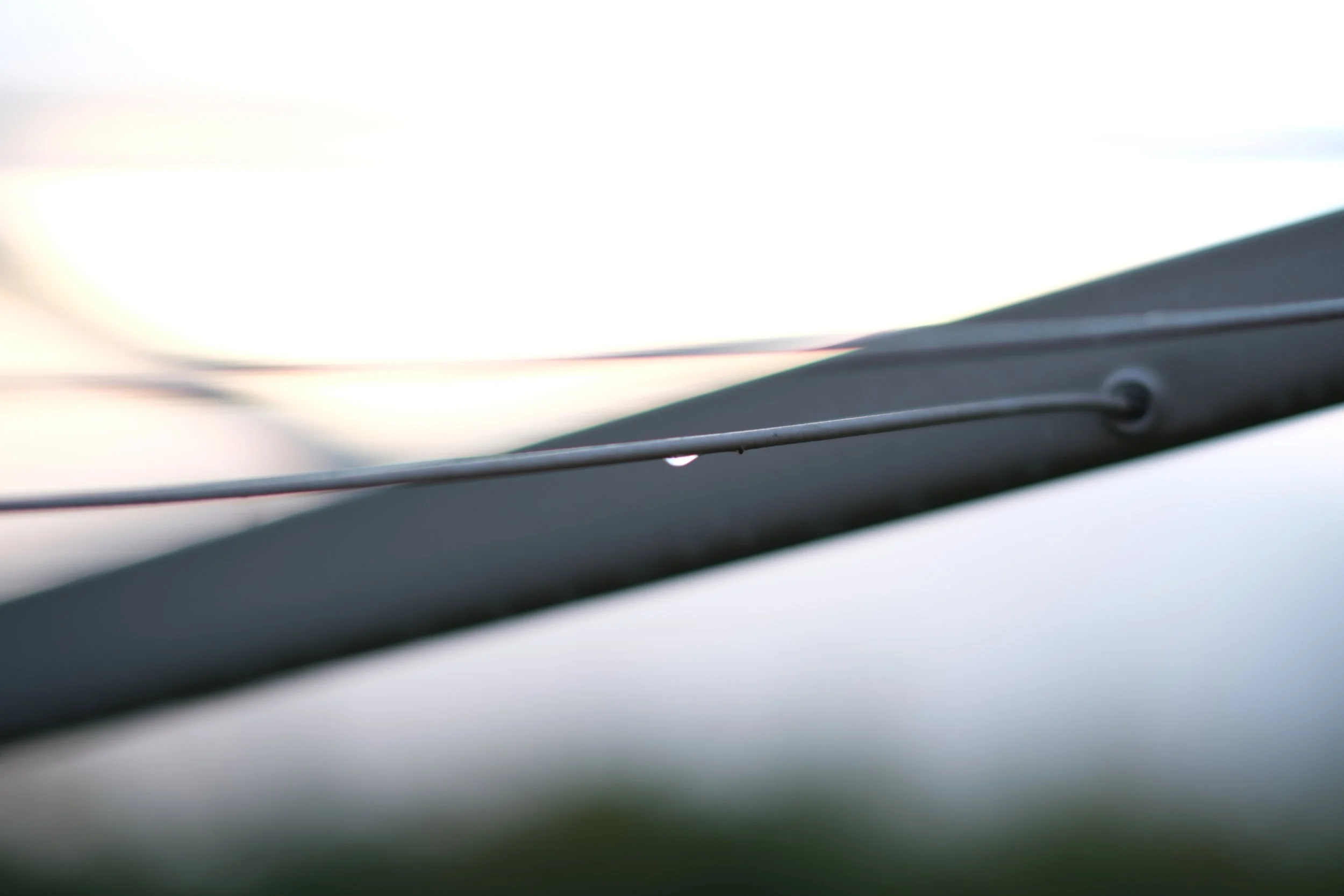 Isolated Raindrop - Dentergem