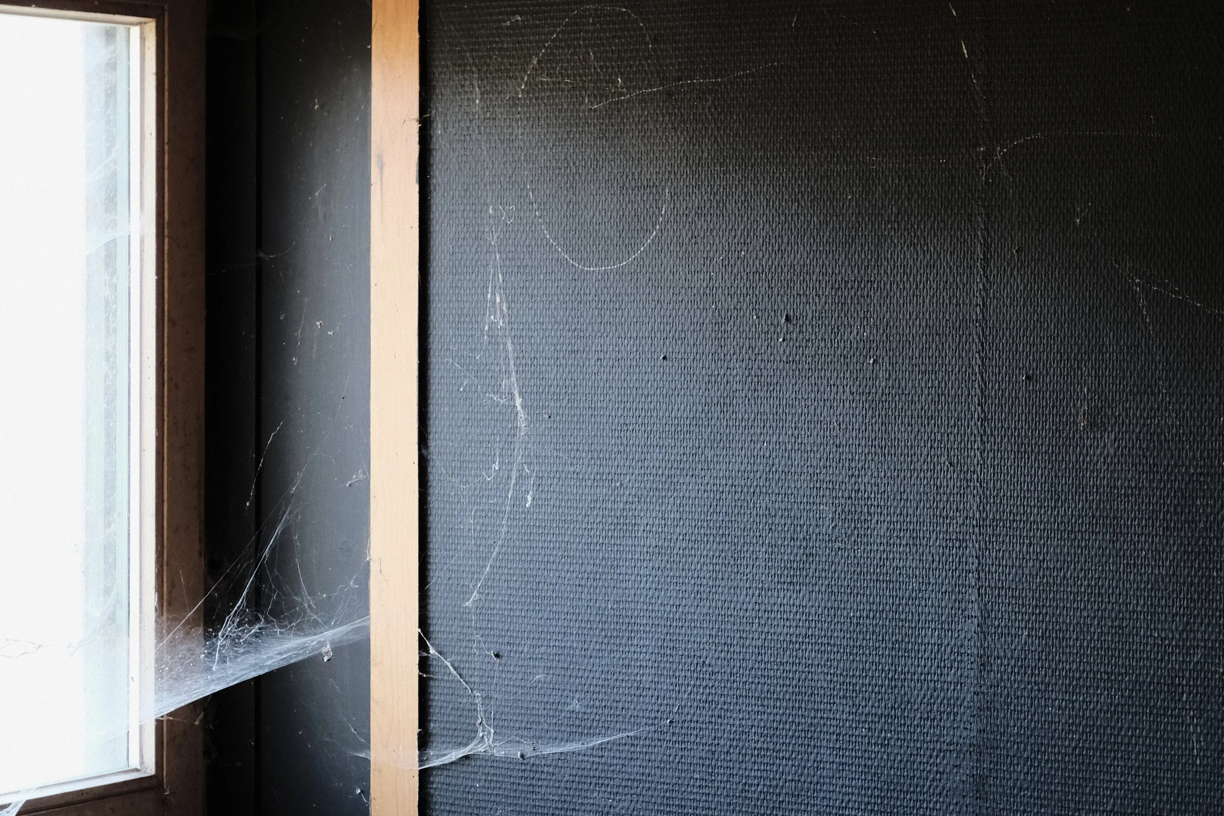 Blackboard with Spider Web - mar 2025 - Dentergem