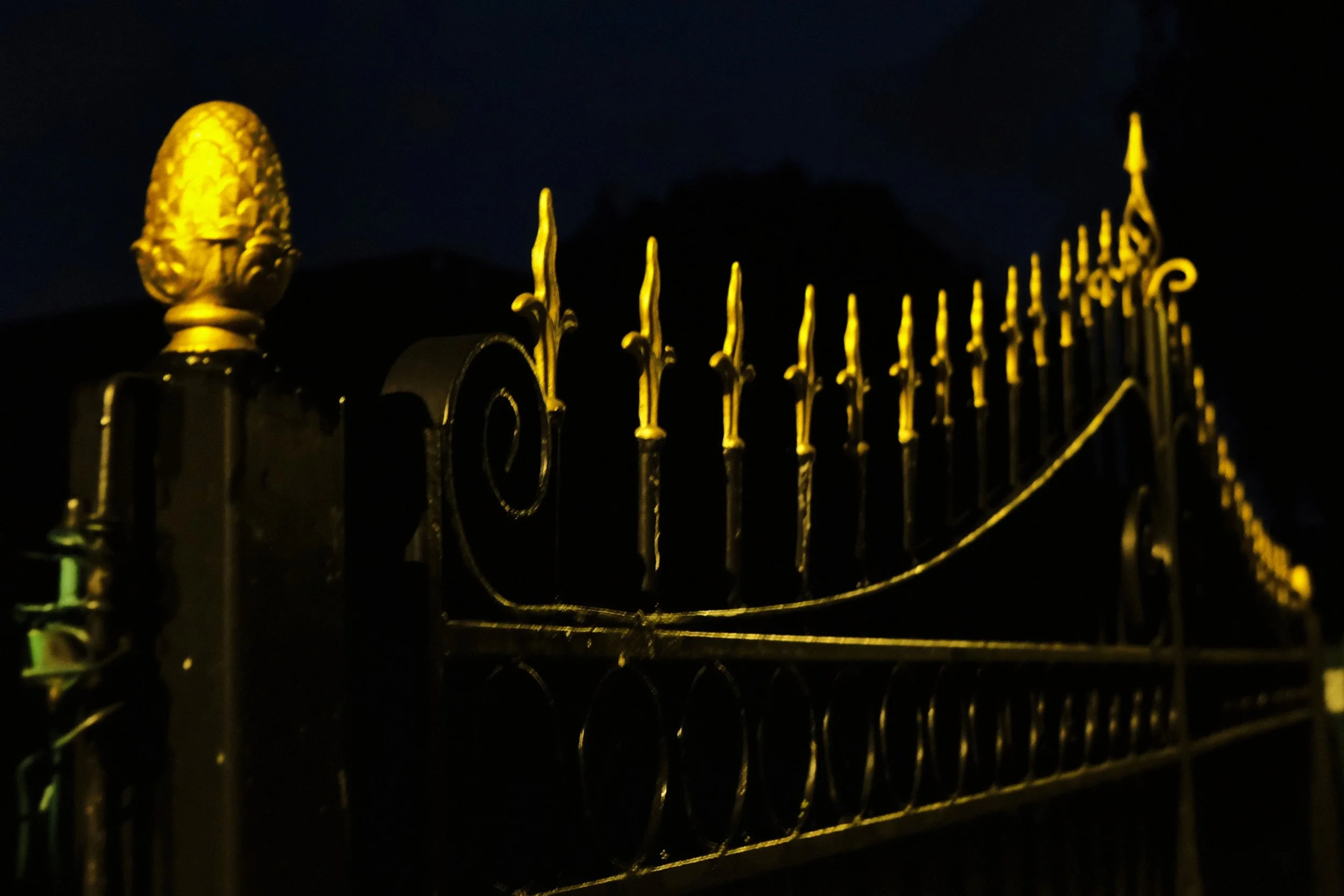 Golden Fence - Dentergem