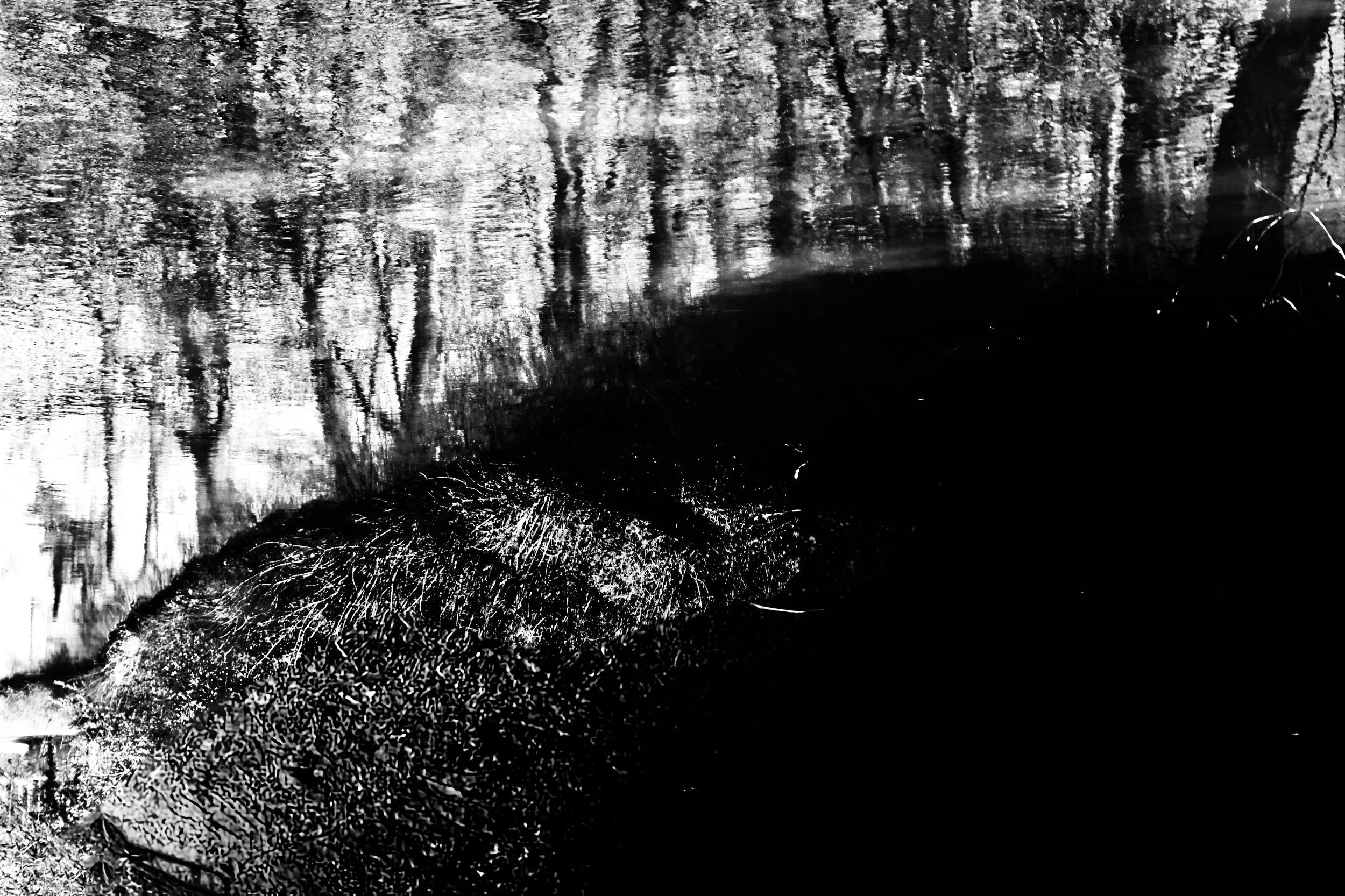 The Redefinition of Impressionism - Studio Dentergem