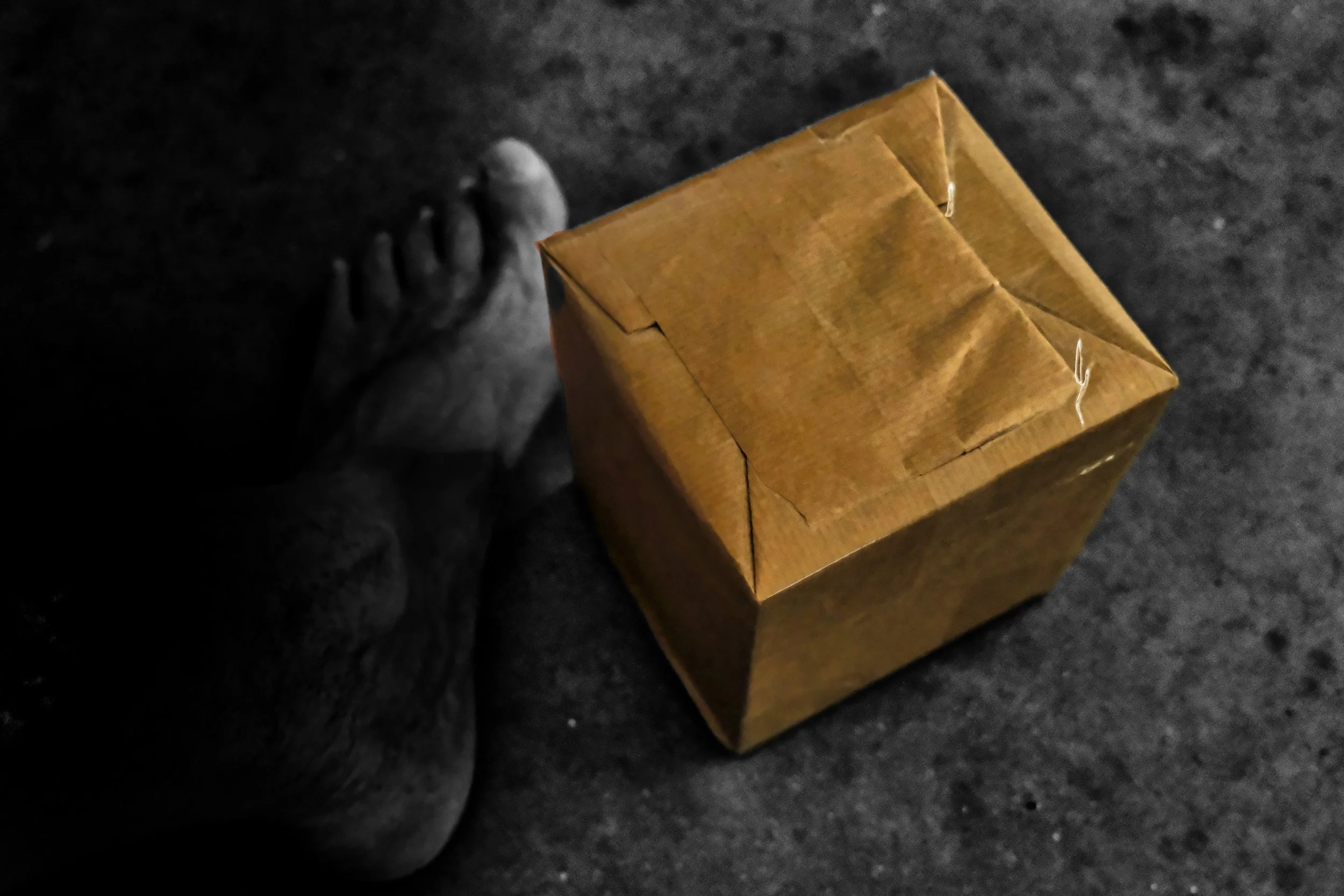 The Package - Studio Dentergem