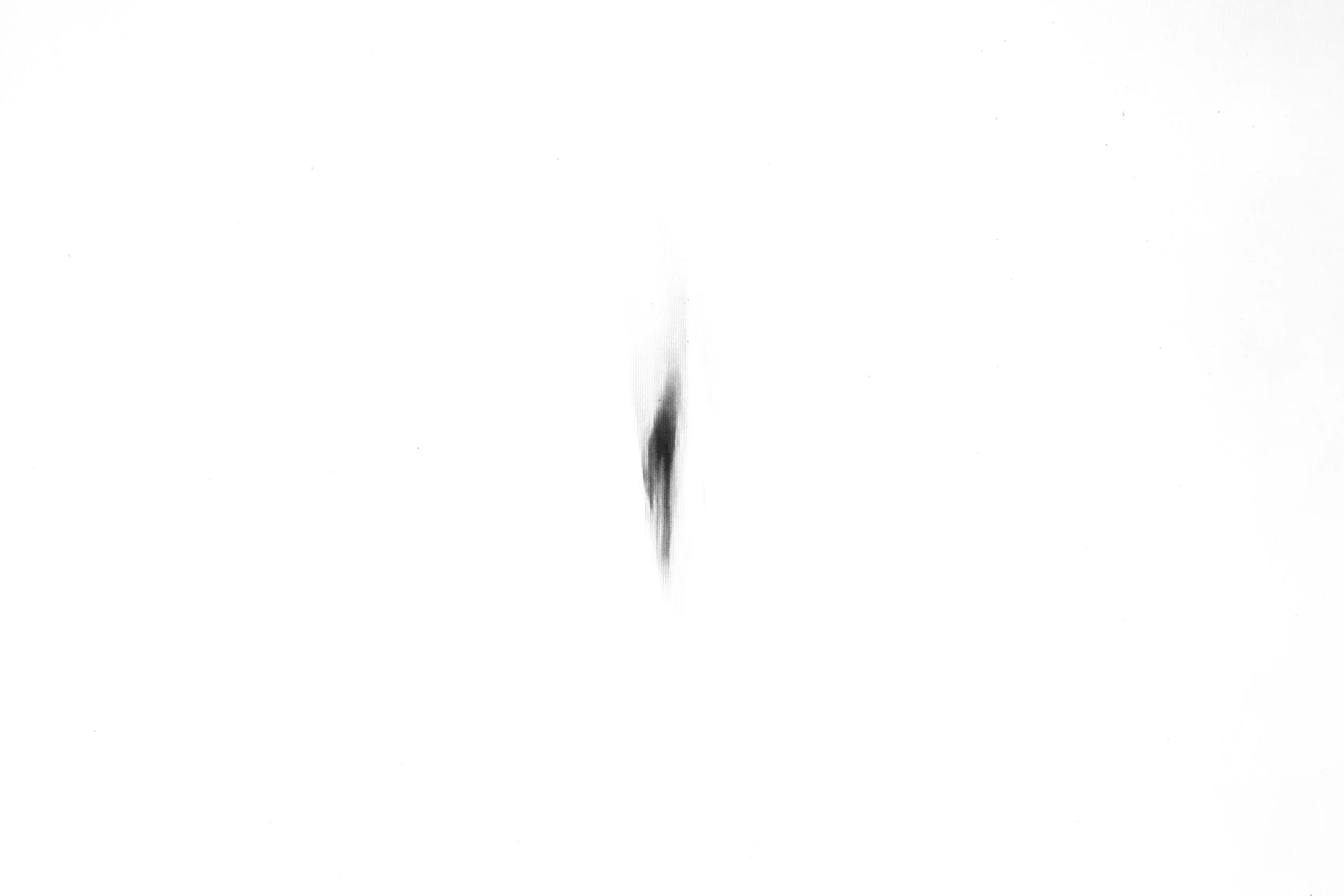 First Brushstroke on the Canvas - Studio Dentergem