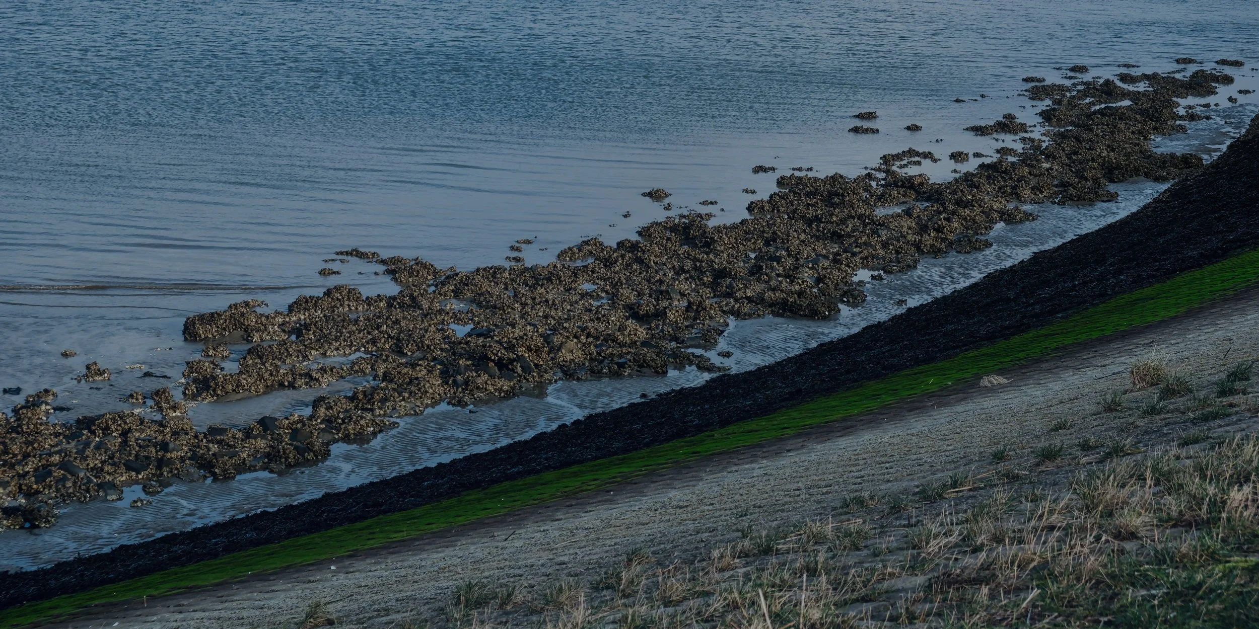 Where Land and Water meet - Breskens