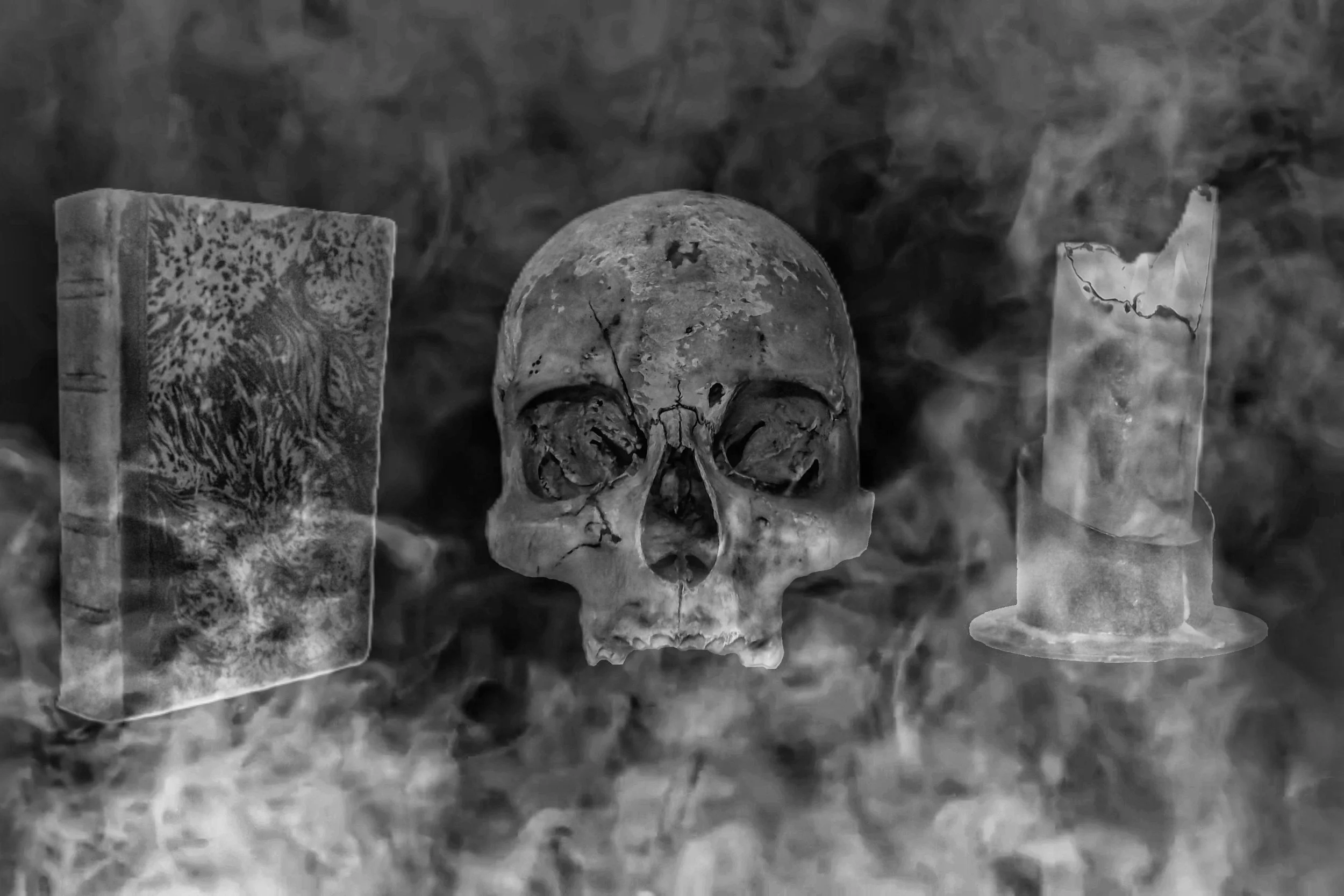Divinus Vanitas - Studio Dentergem
