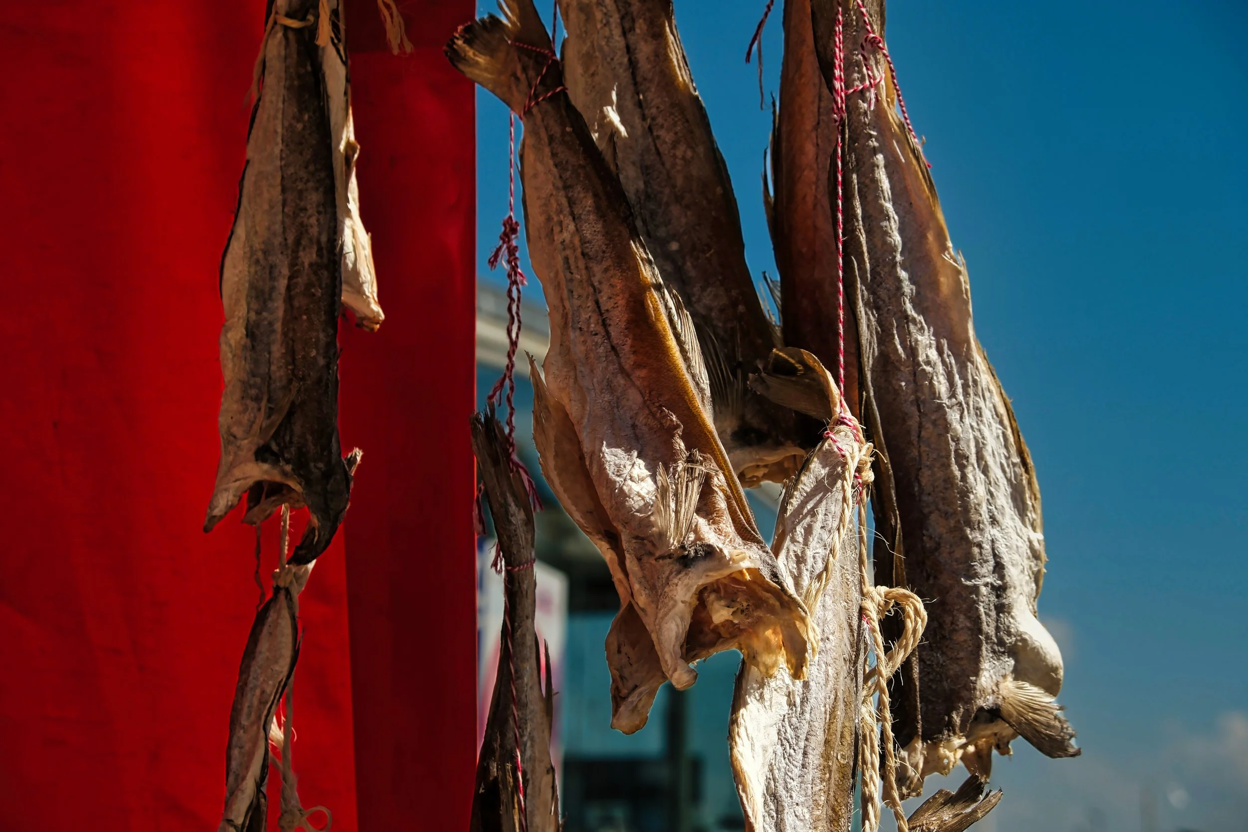 Dried Stockfish - Ostend