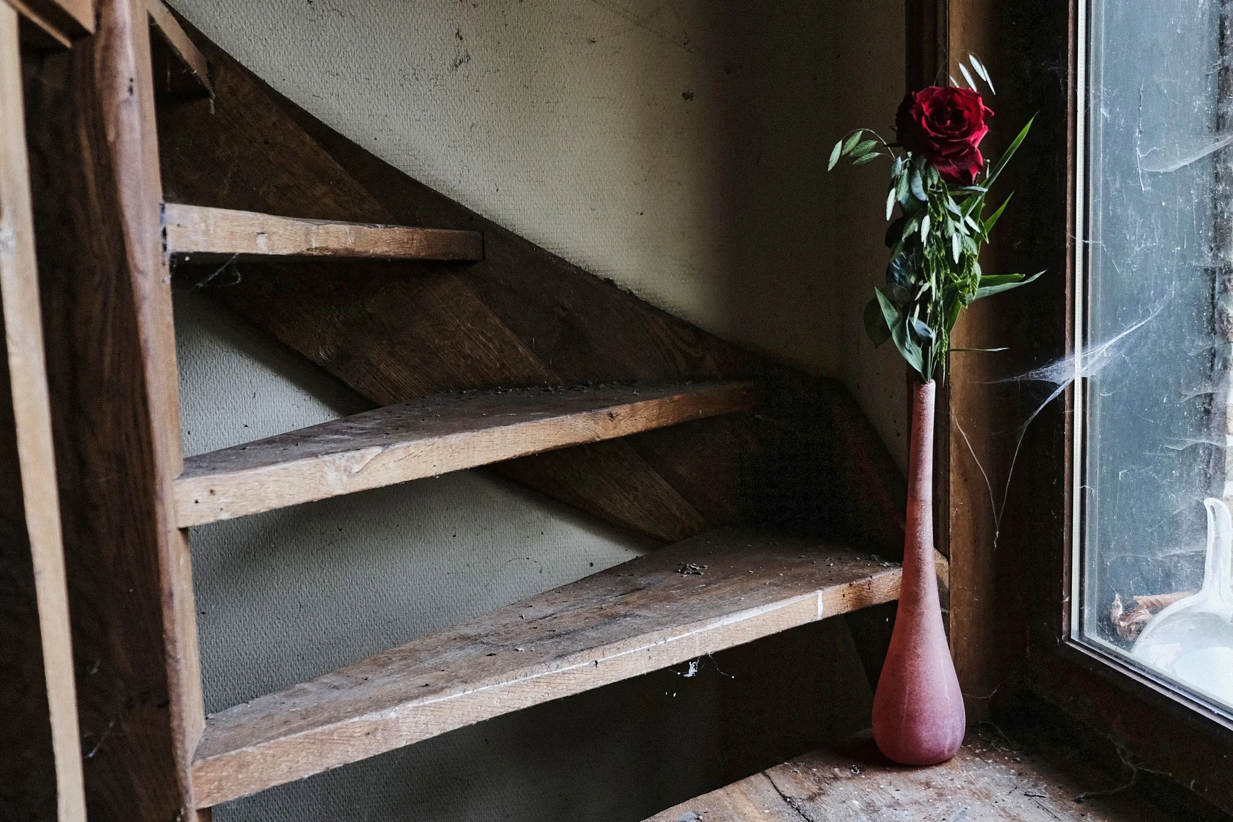 The Rose Session - Take #16 - od'us shoot - Dentergem