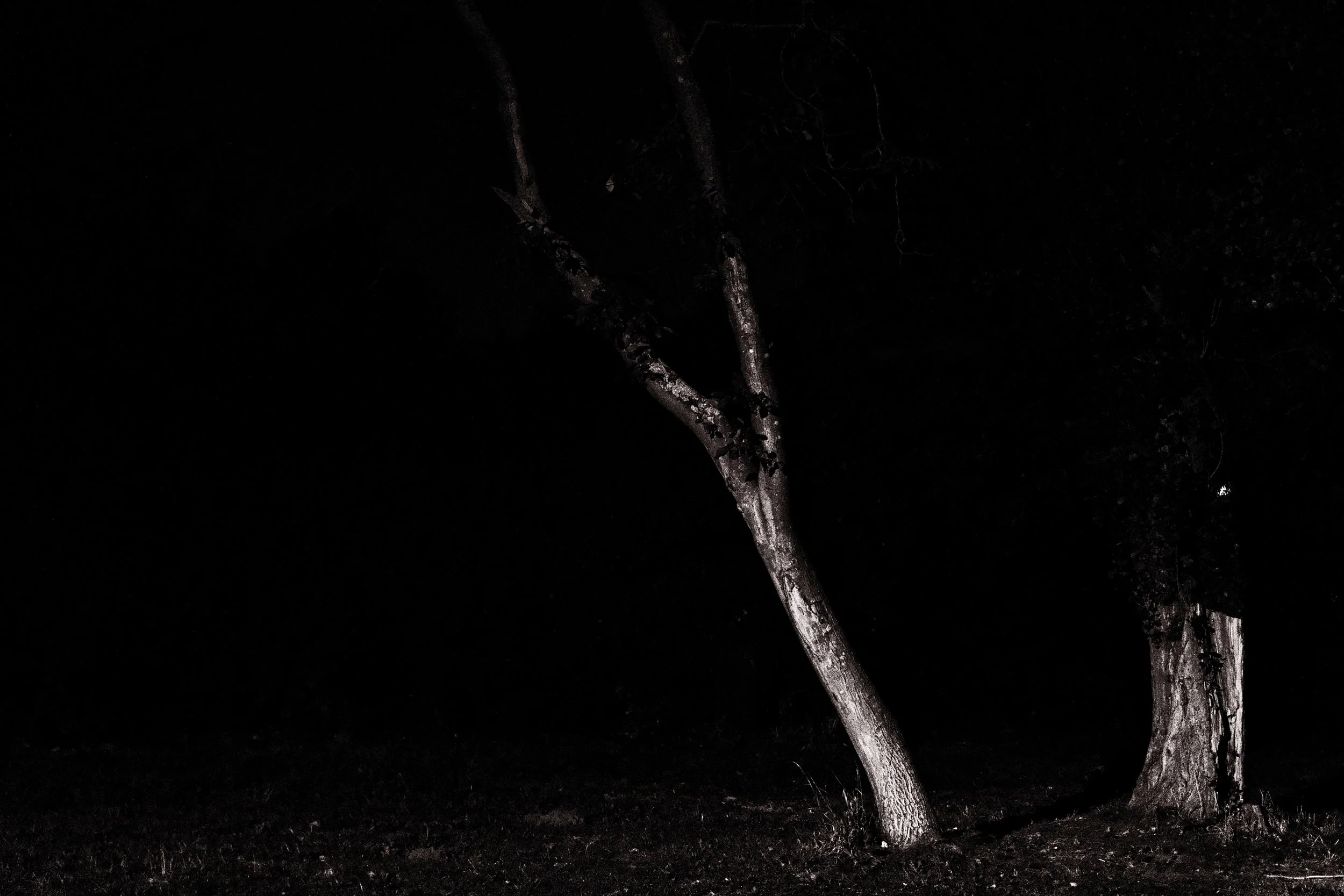 Nocturnal Landscape - Dentergem