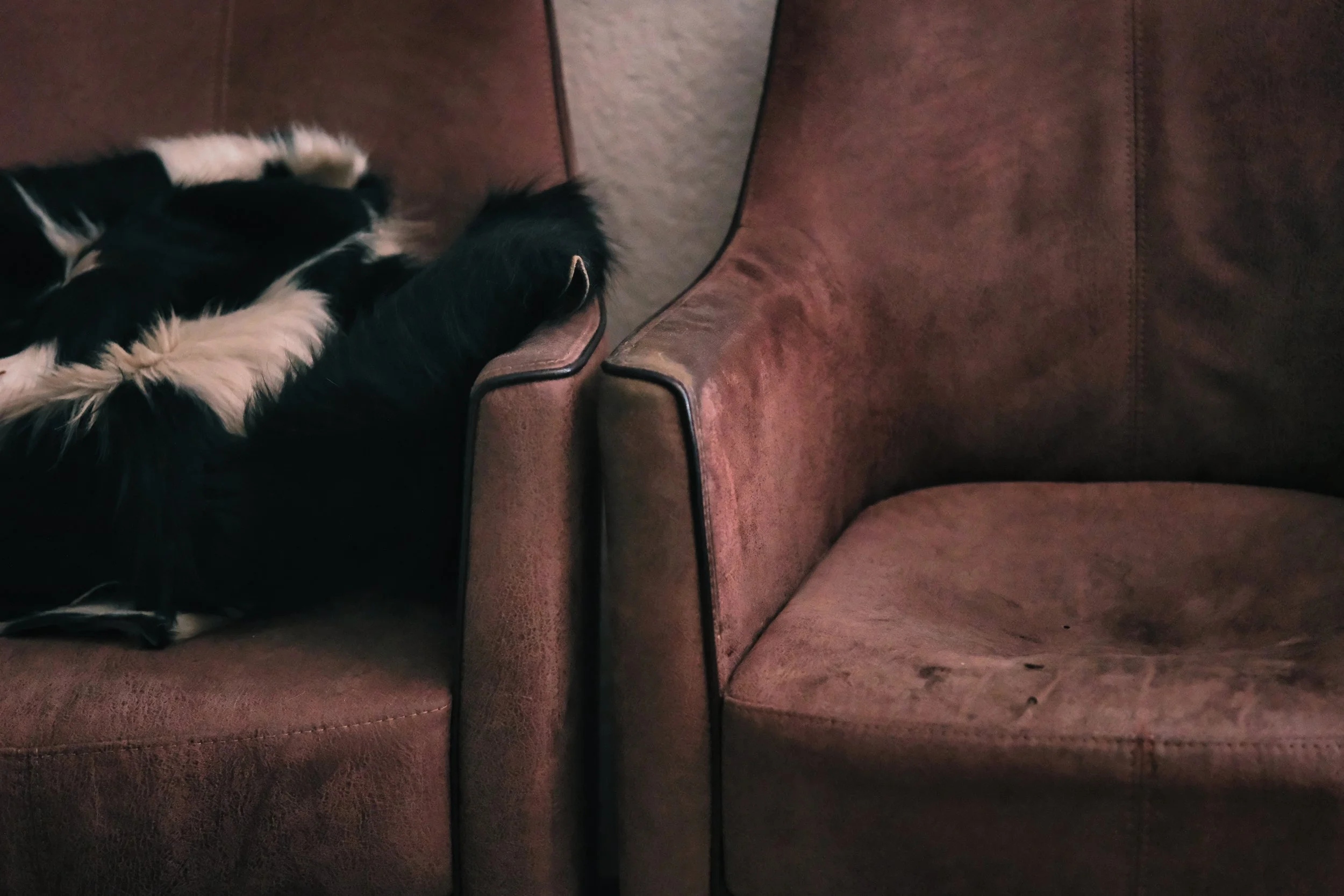 Two Chairs and a Cowhide - feb 2026 - Dentergem