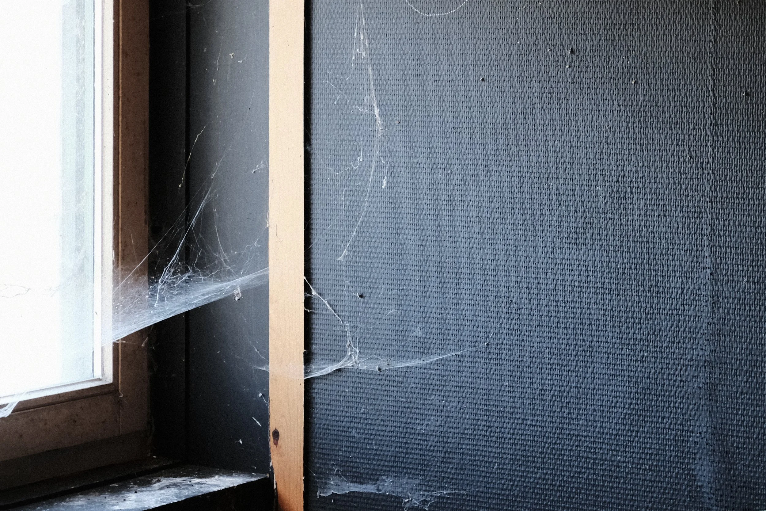 Blackboard with Spider Web - od'us shoot - Dentergem