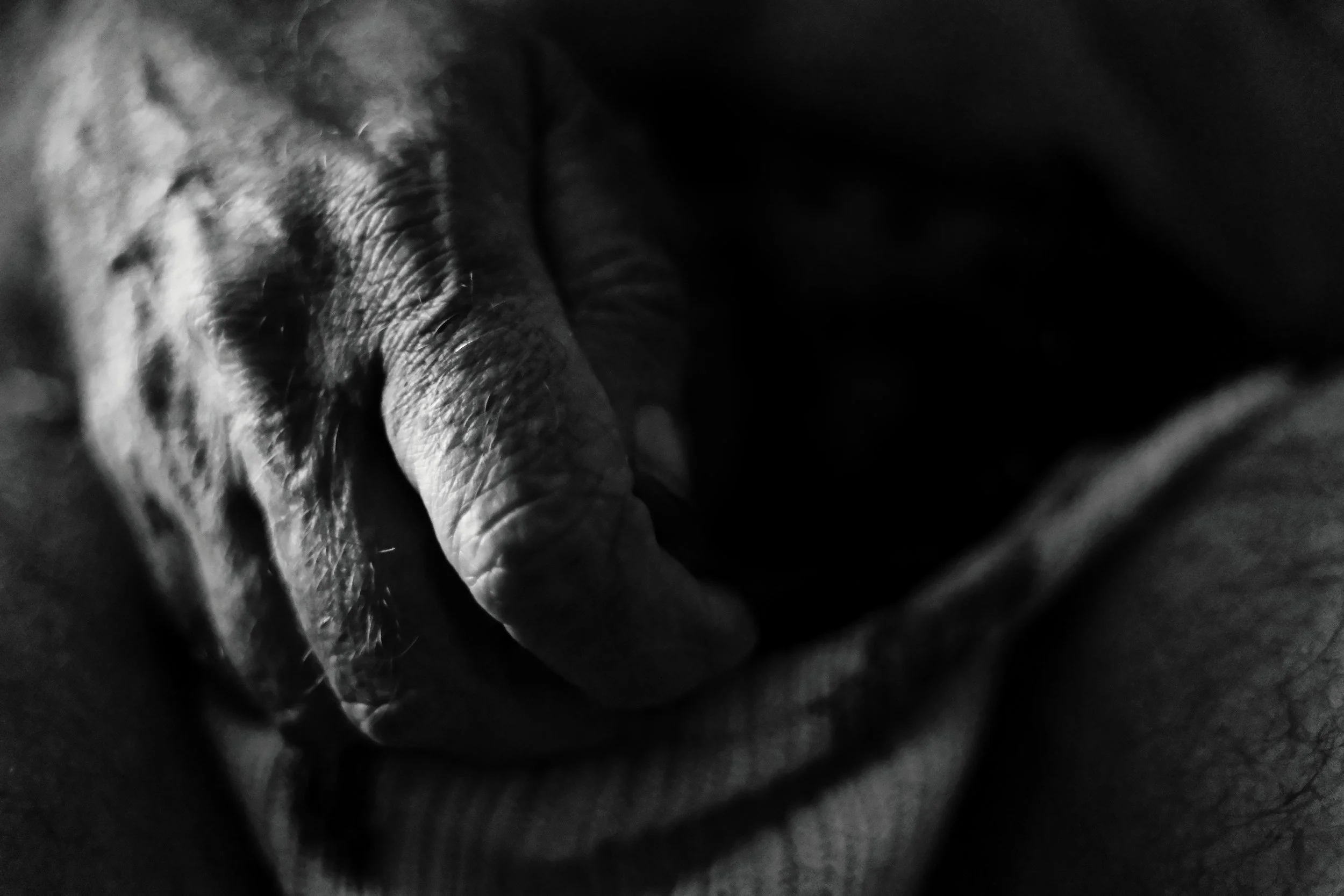 Initimite Gesture - Studio Dentergem