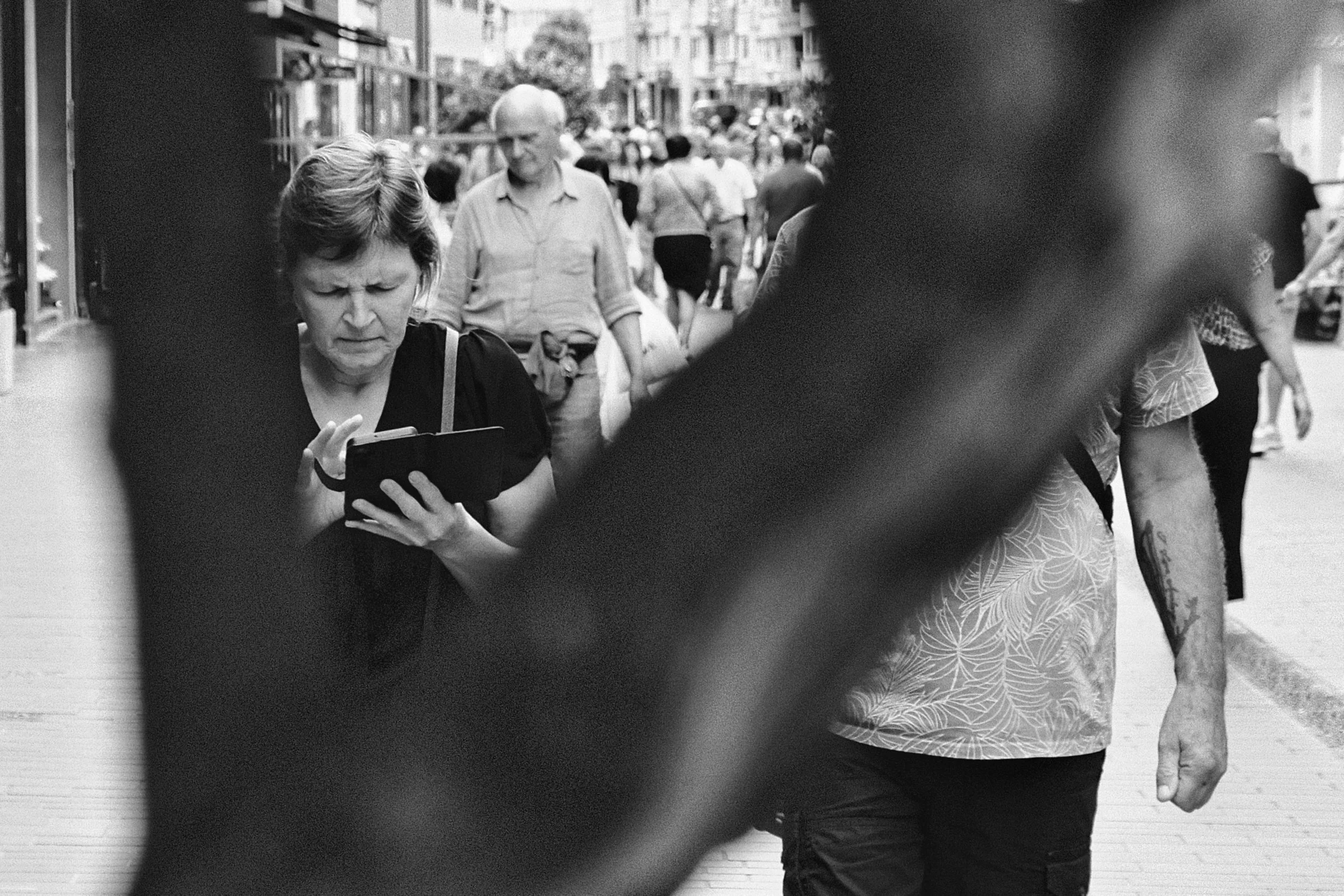 Trapped in a Tree - Ostend