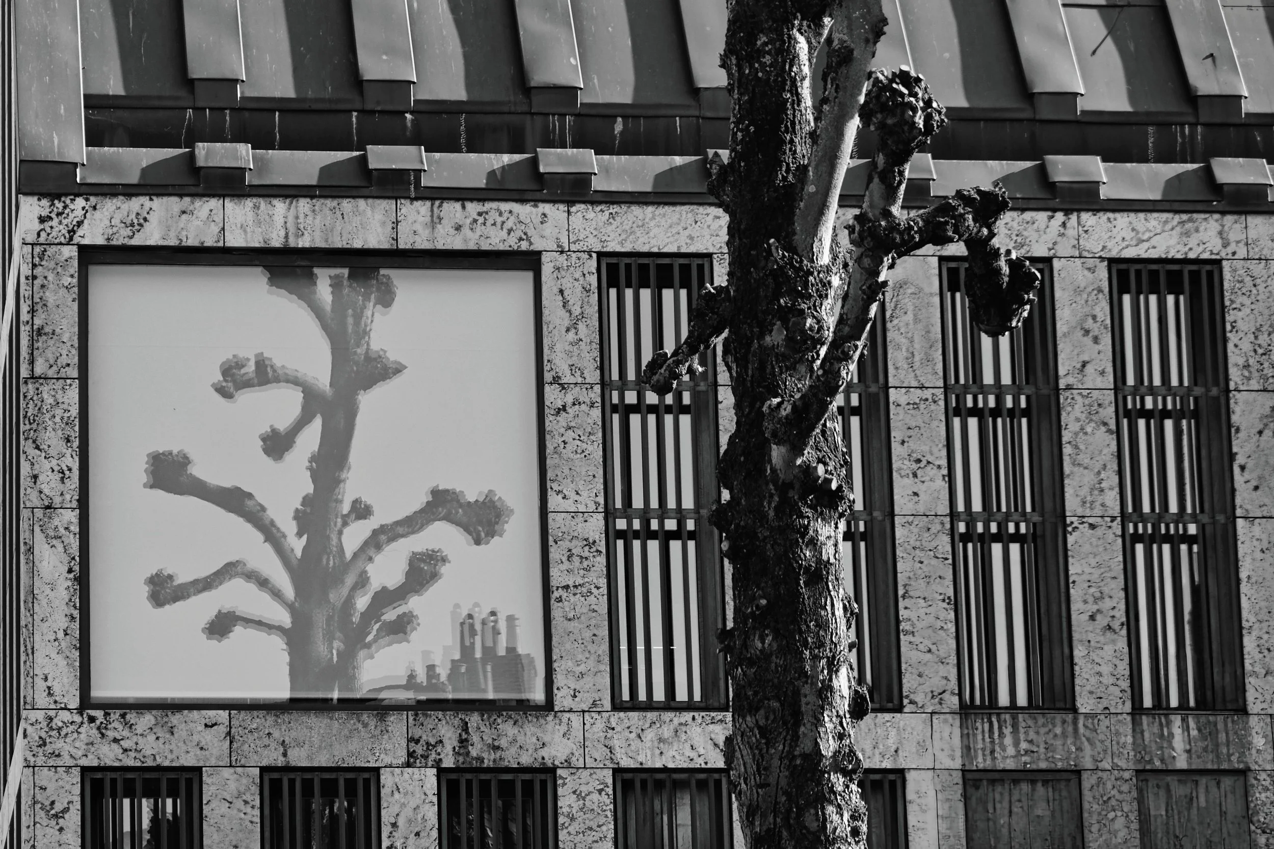 Silk Screen Tree - Bruges