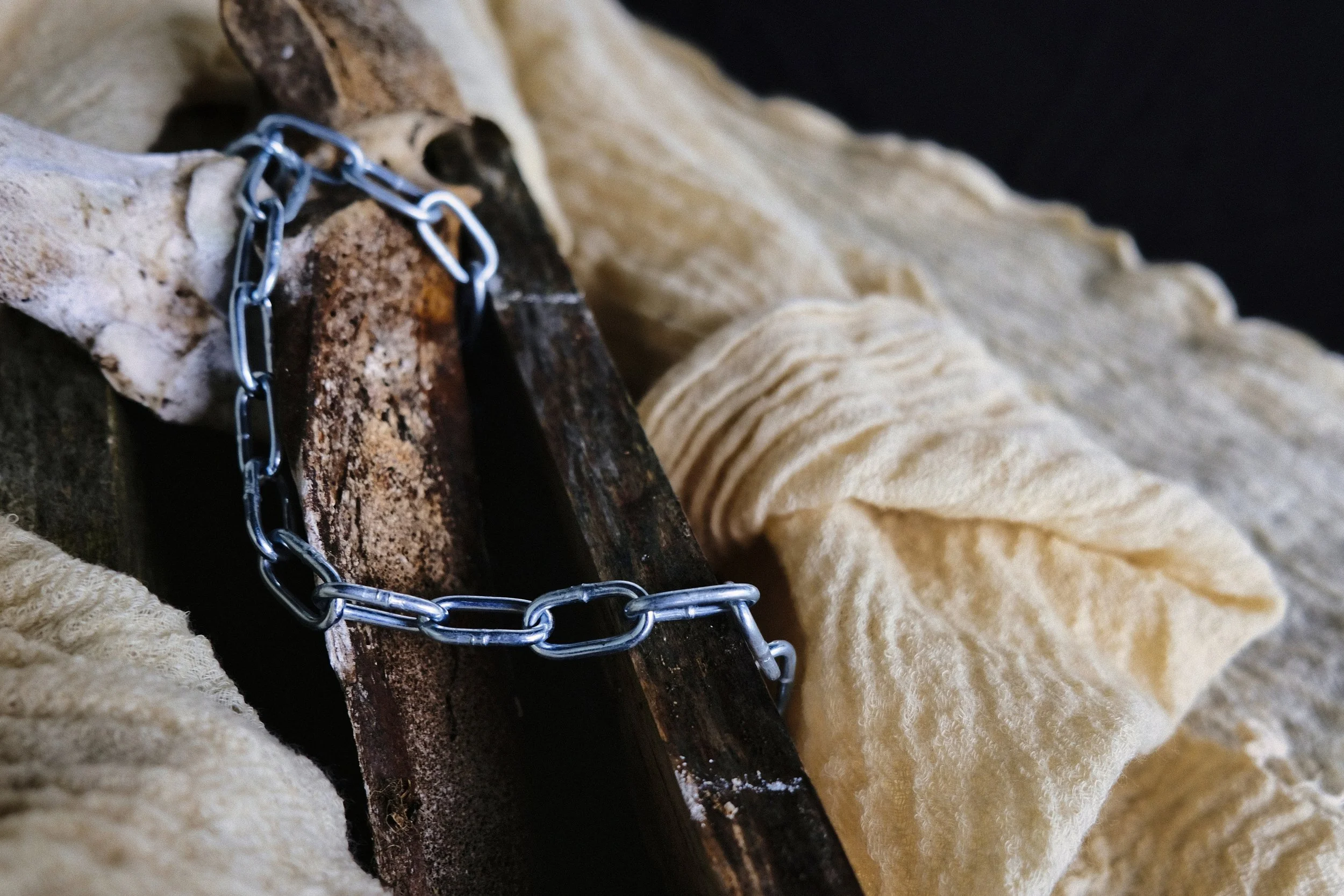 The Bone Catalysator - Take #5 - Studio Dentergem