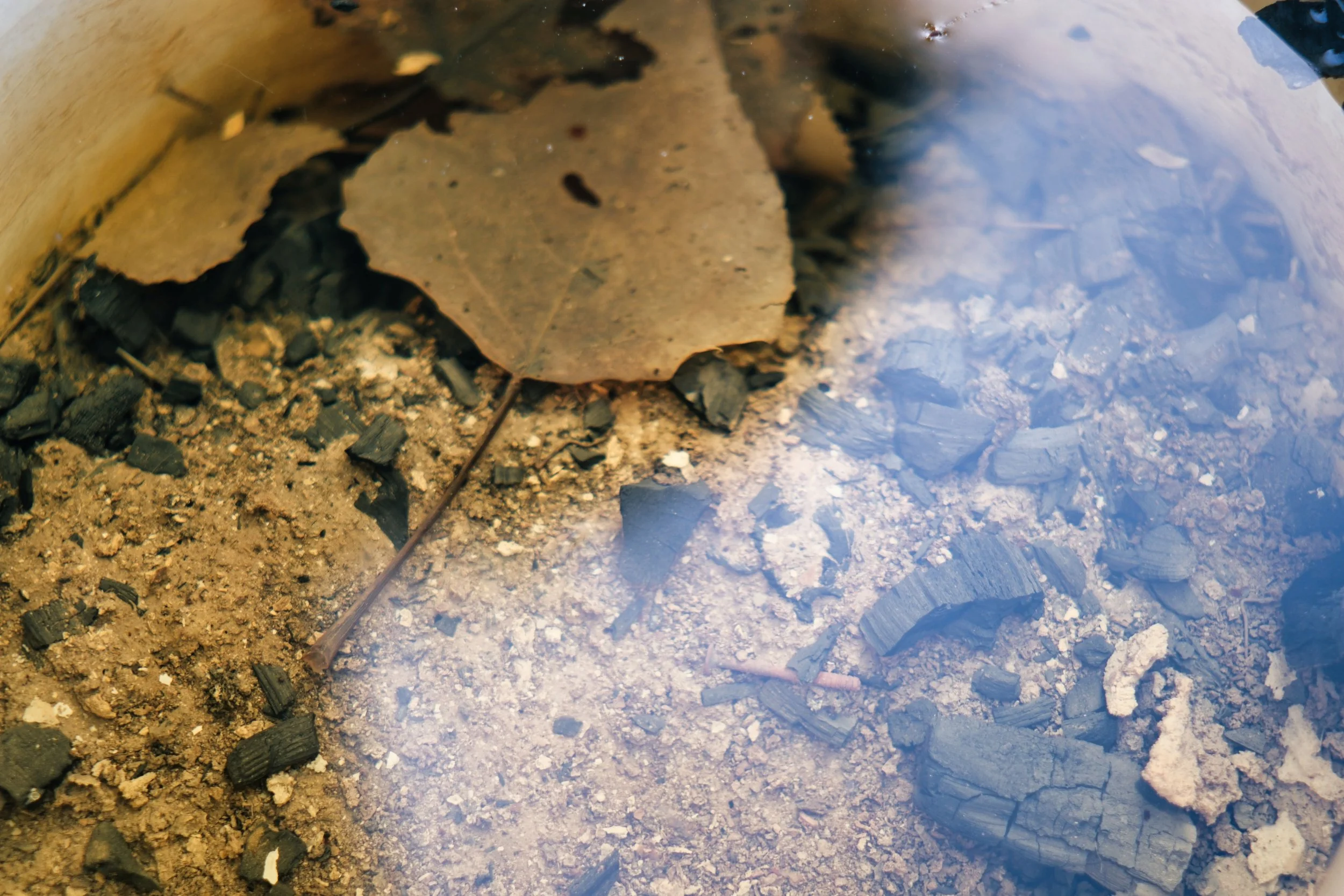 16/12/2025 - Underwater Ashes