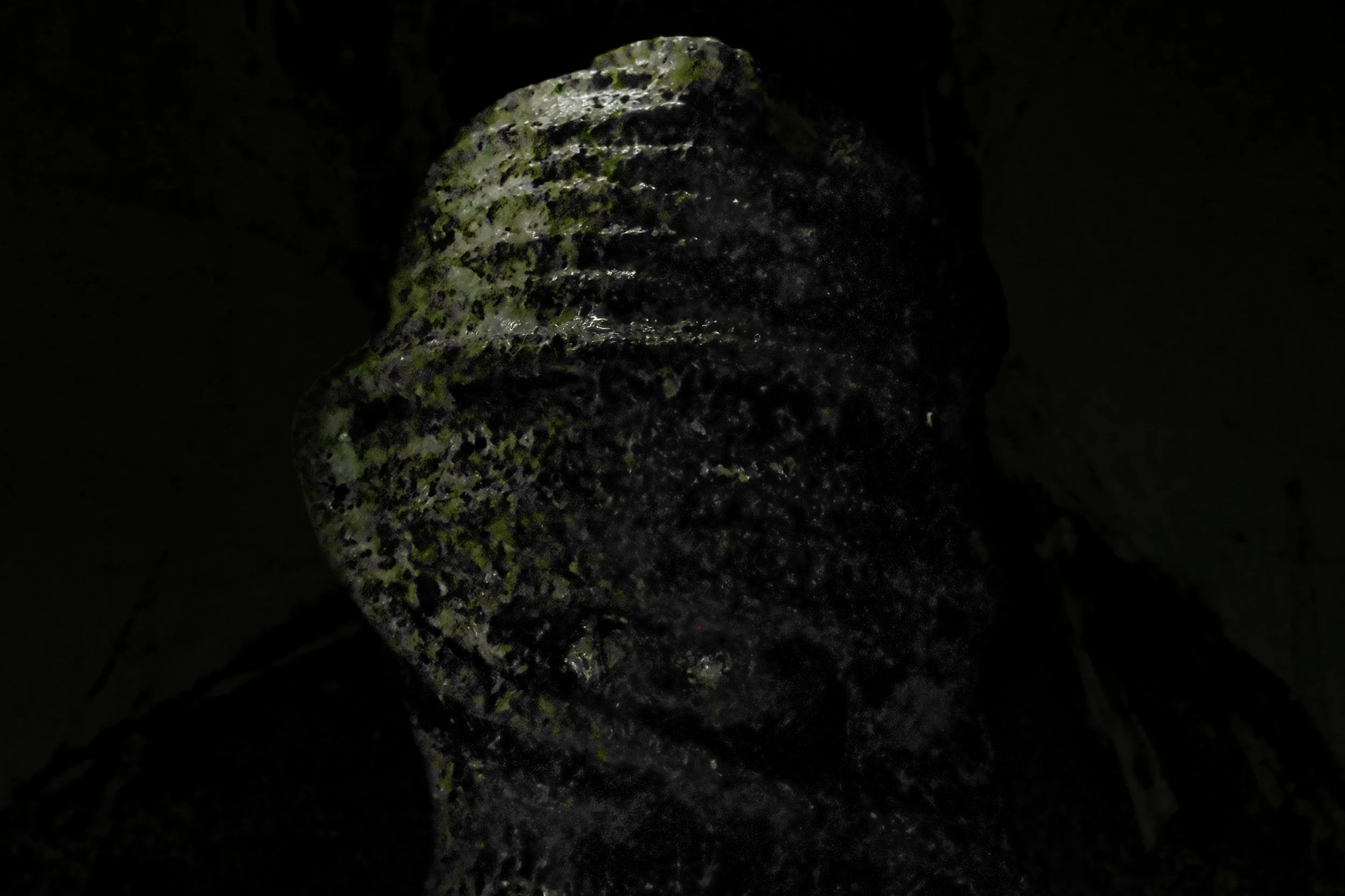 Black Photo - Studio Dentergem