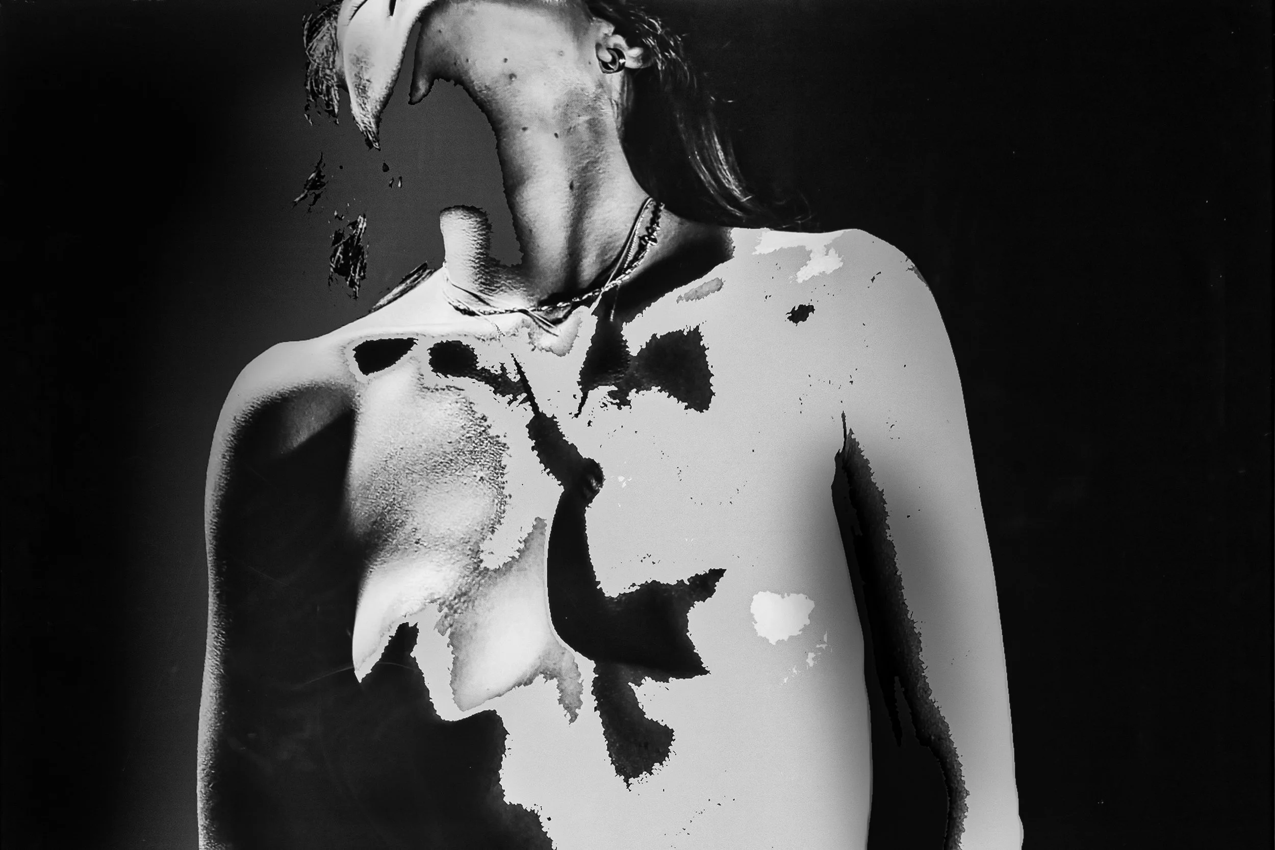Appearance through Her own Disappearance - Studio Dentergem