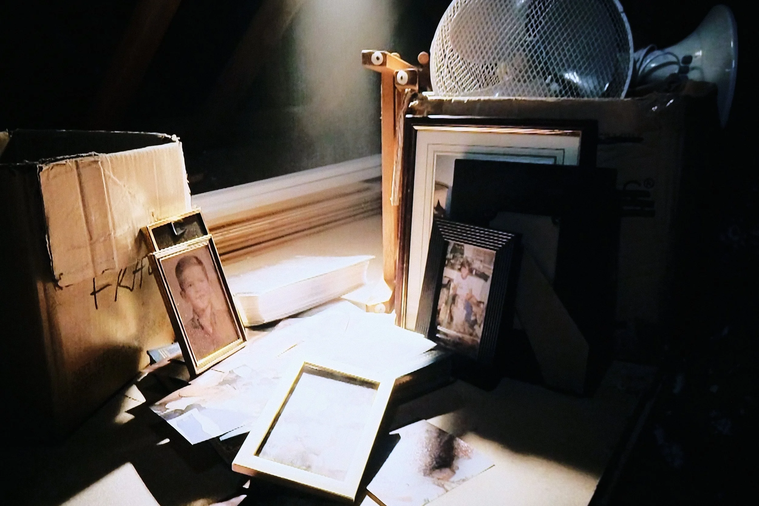 Studio  Still Life - Studio Dentergem