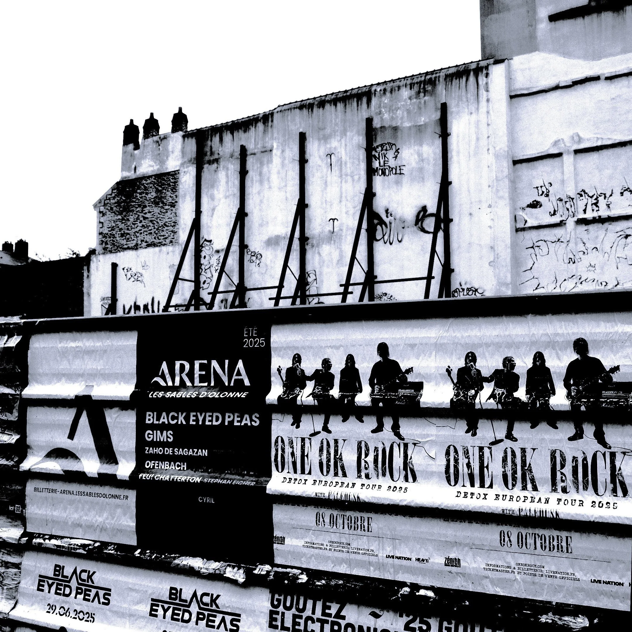 One OK Rock - Nantes