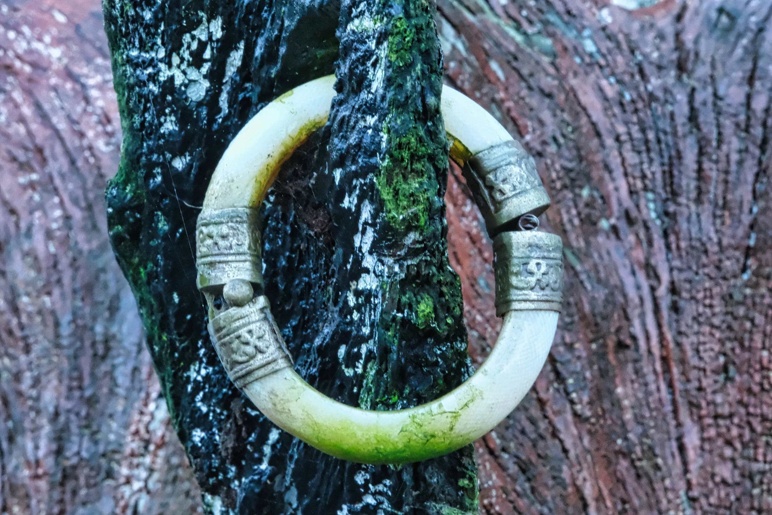 03/02/2026 - Ivory Bracelet