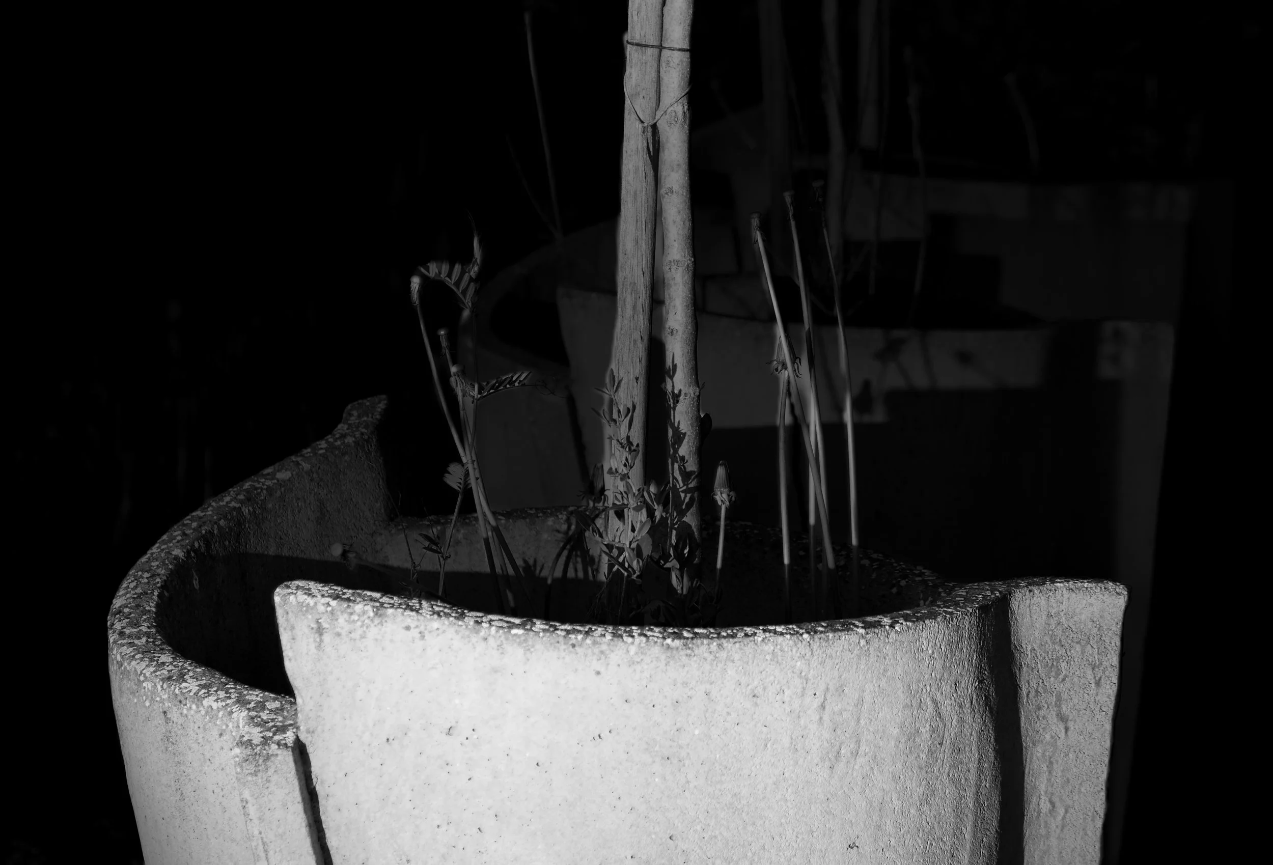 Planters - Dentergem