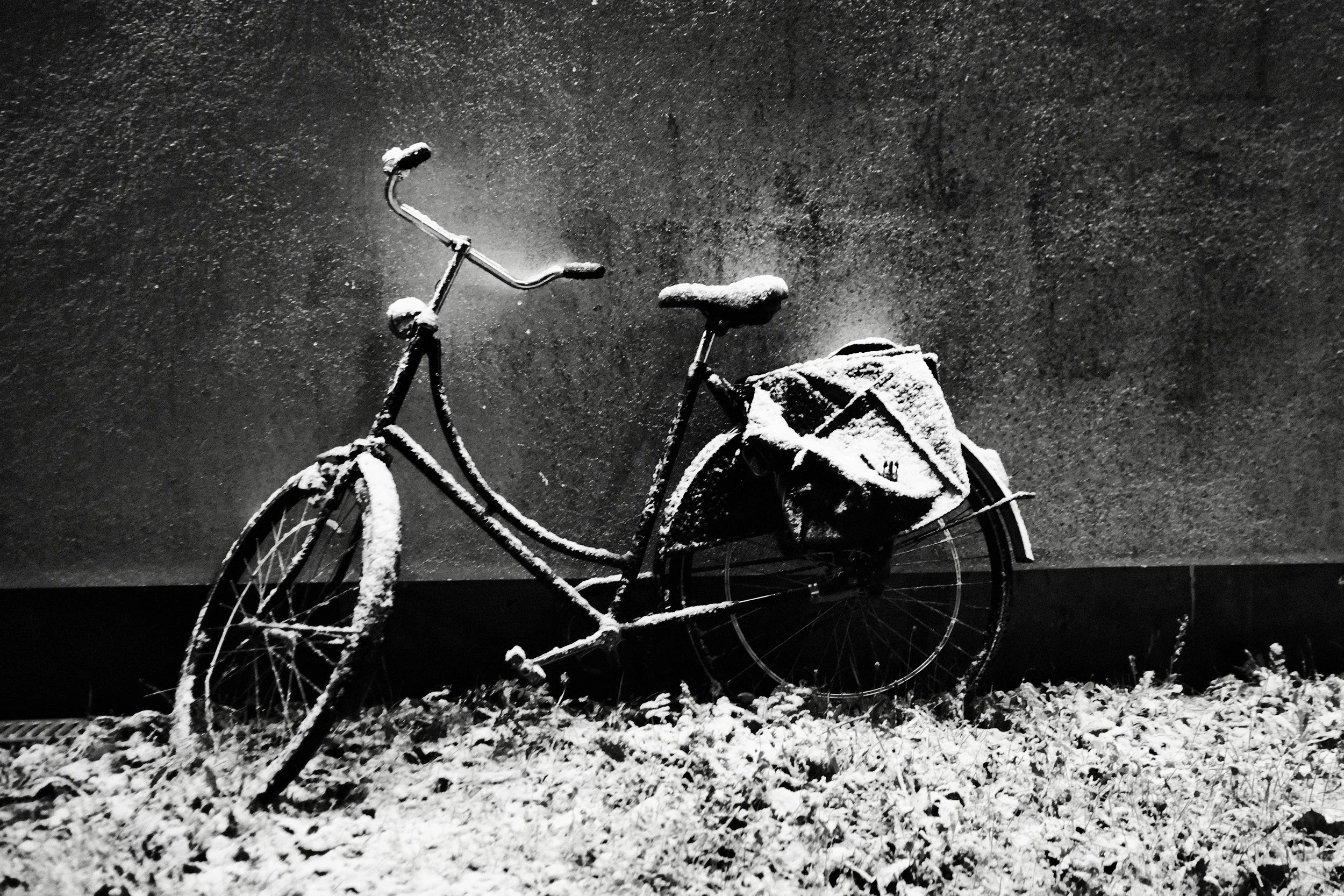 Bicycle against a Wall - Dentergem