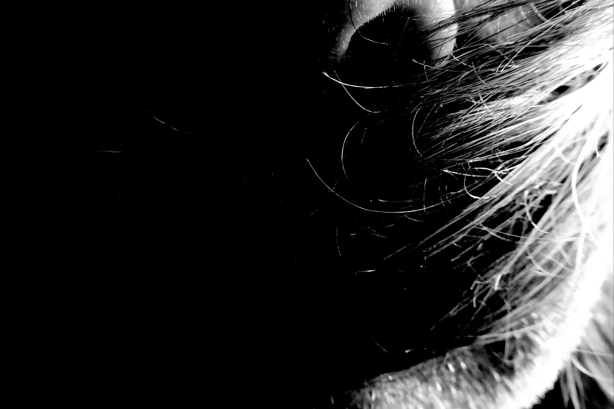 Covered Mouth - Don't talk about the Invisible Disease - Studio Dentergem