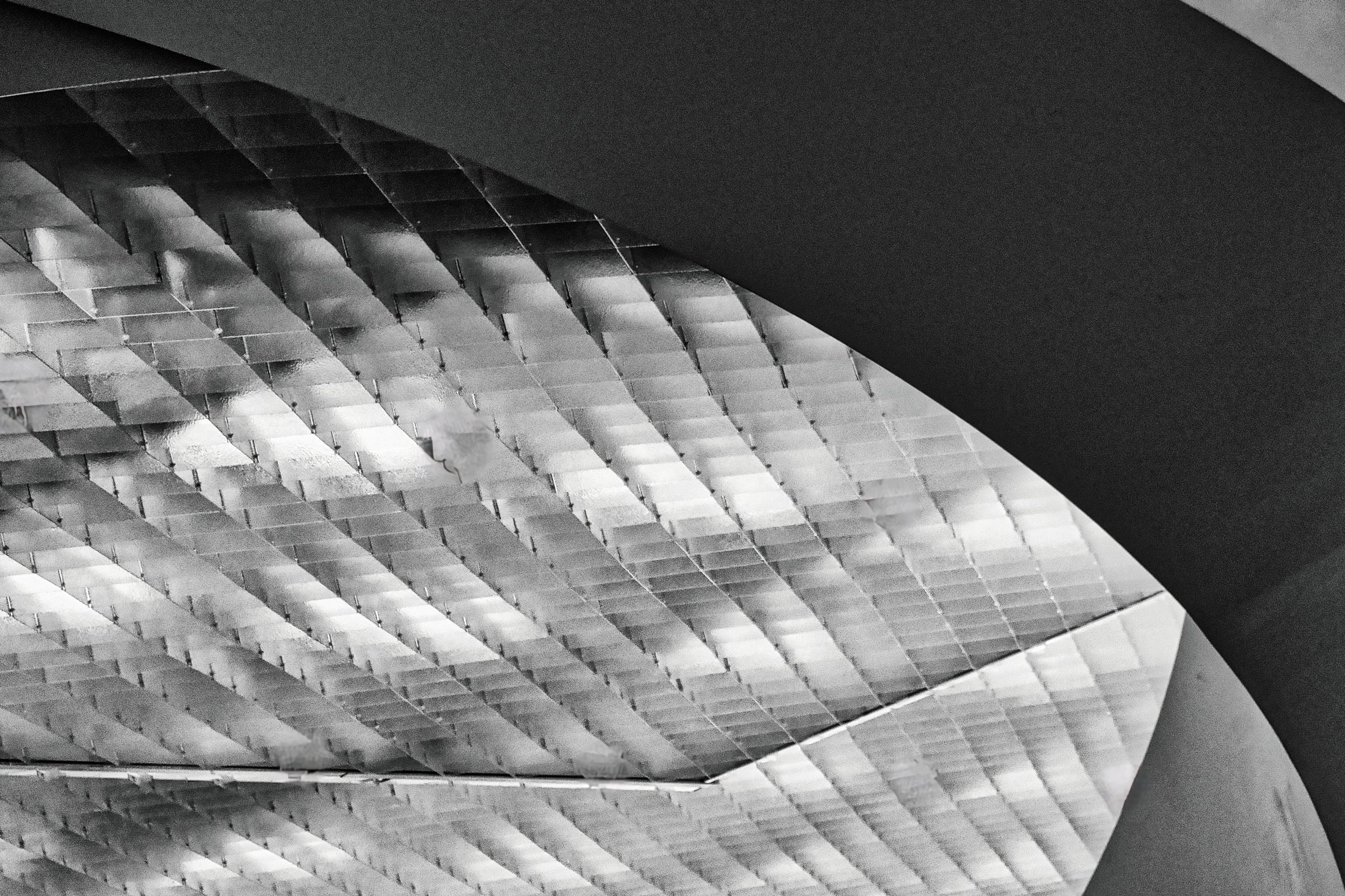 Ceiling Curve - Antwerp