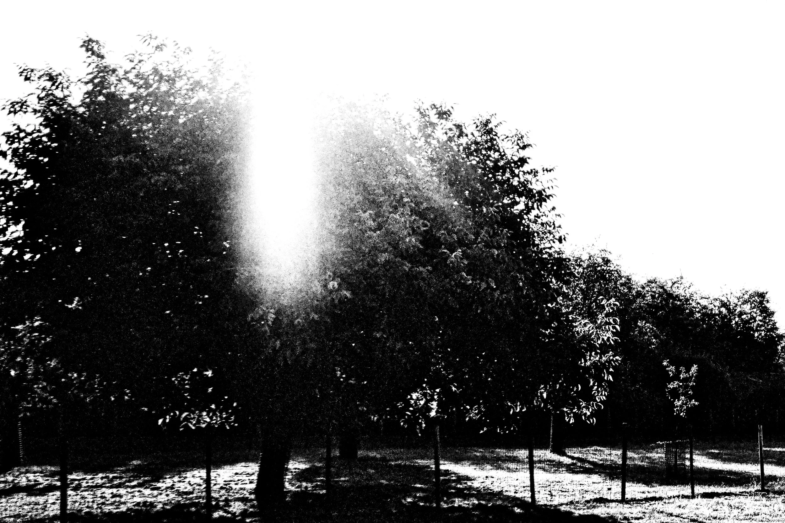 08:31 on a Fridaymorning - Dentergem