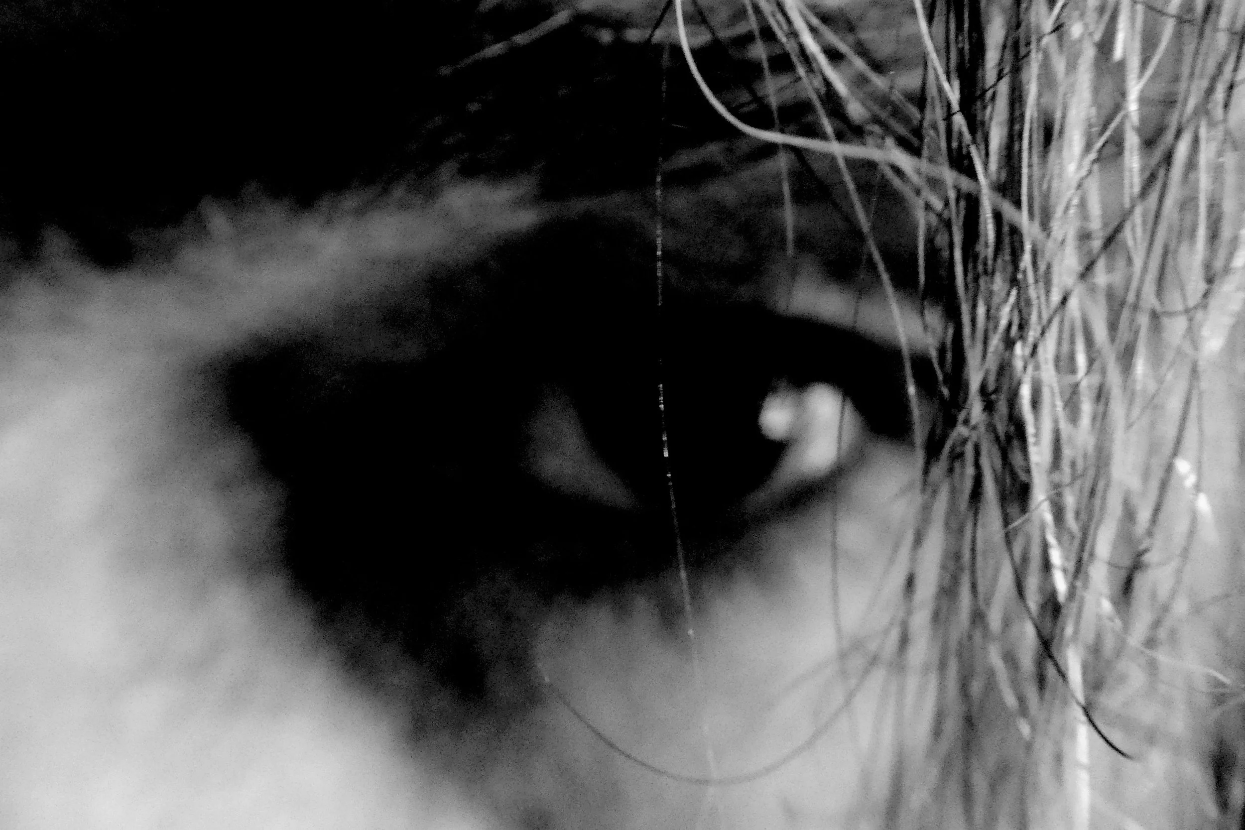 Eye of a Beautiful Loser - Studio Dentergem