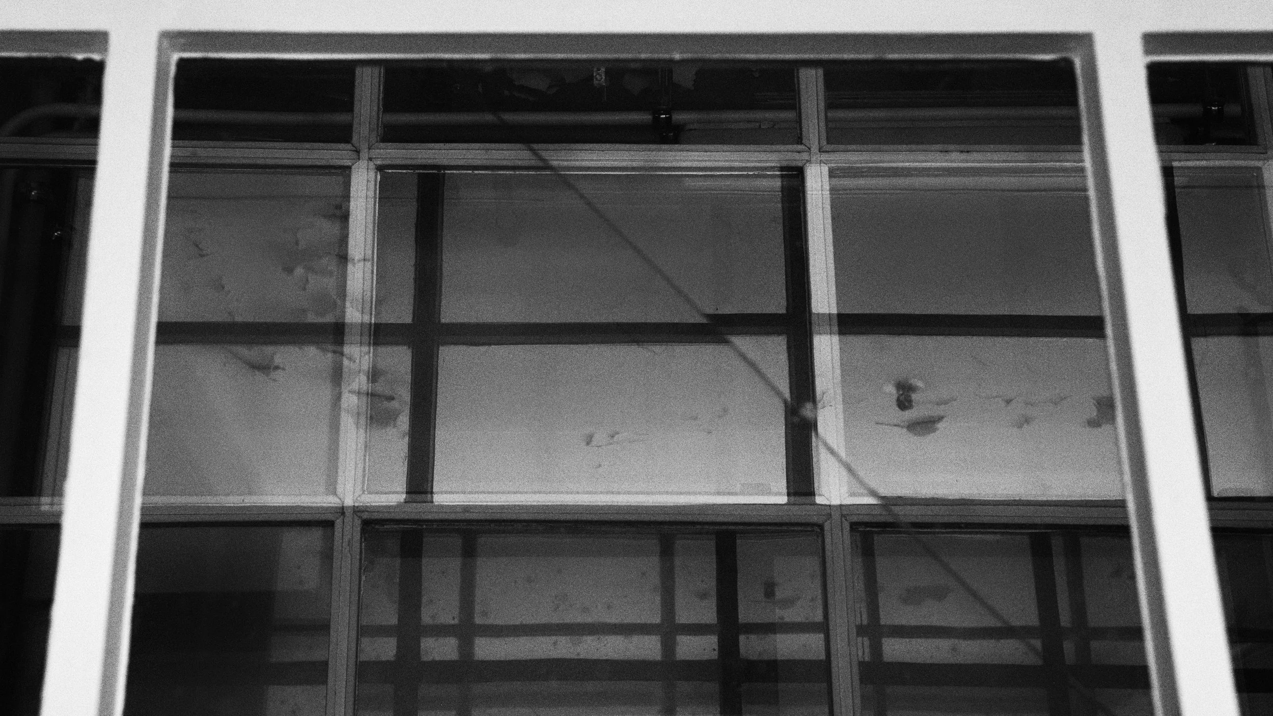 Windows - Tielt