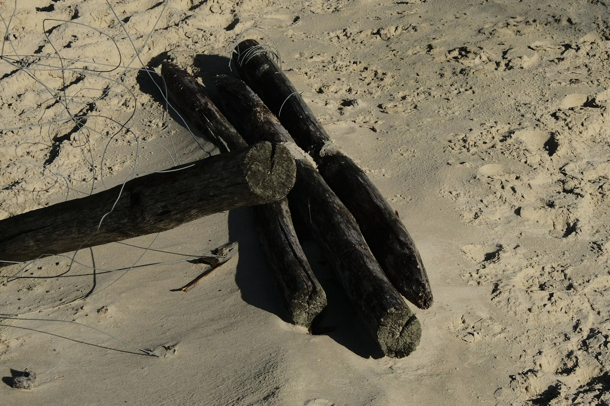 Driftwood - Verrebroek