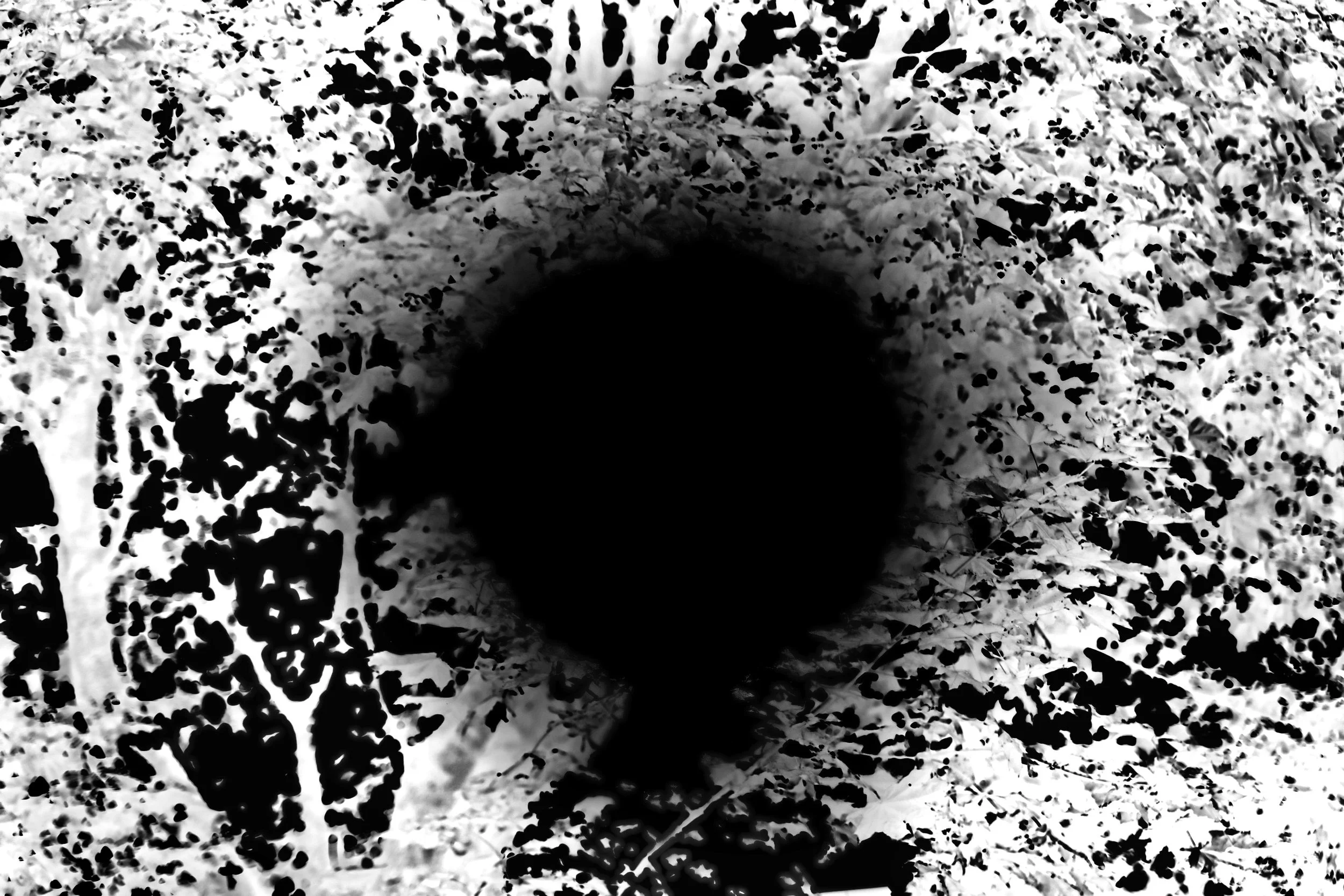 Black Sun - Tielt