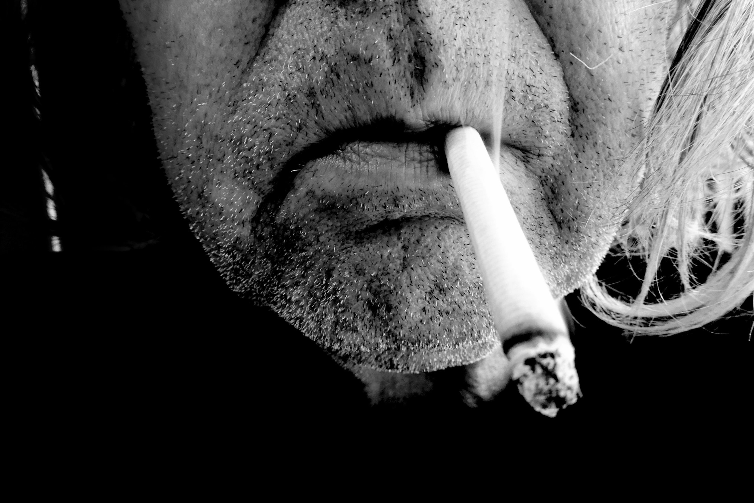 Breakfast - Studio Dentergem