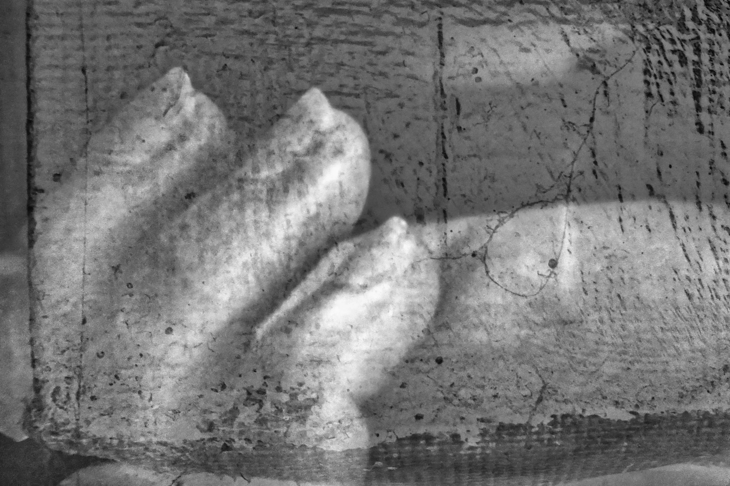 Half Closed Hand - Studio Dentergem