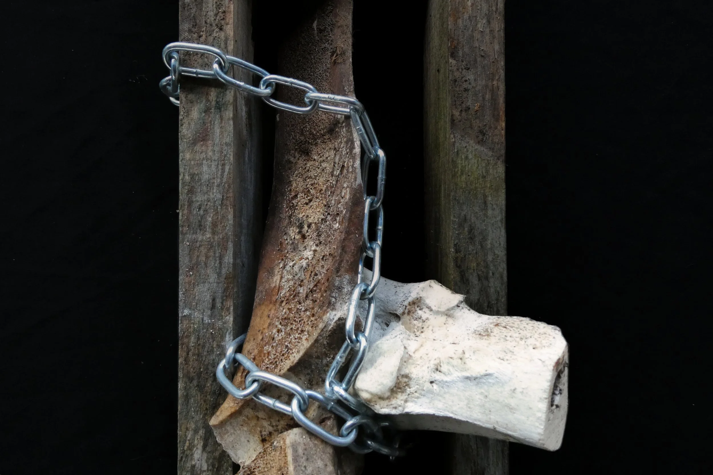 Contamination of the Bone - Studio Dentergem