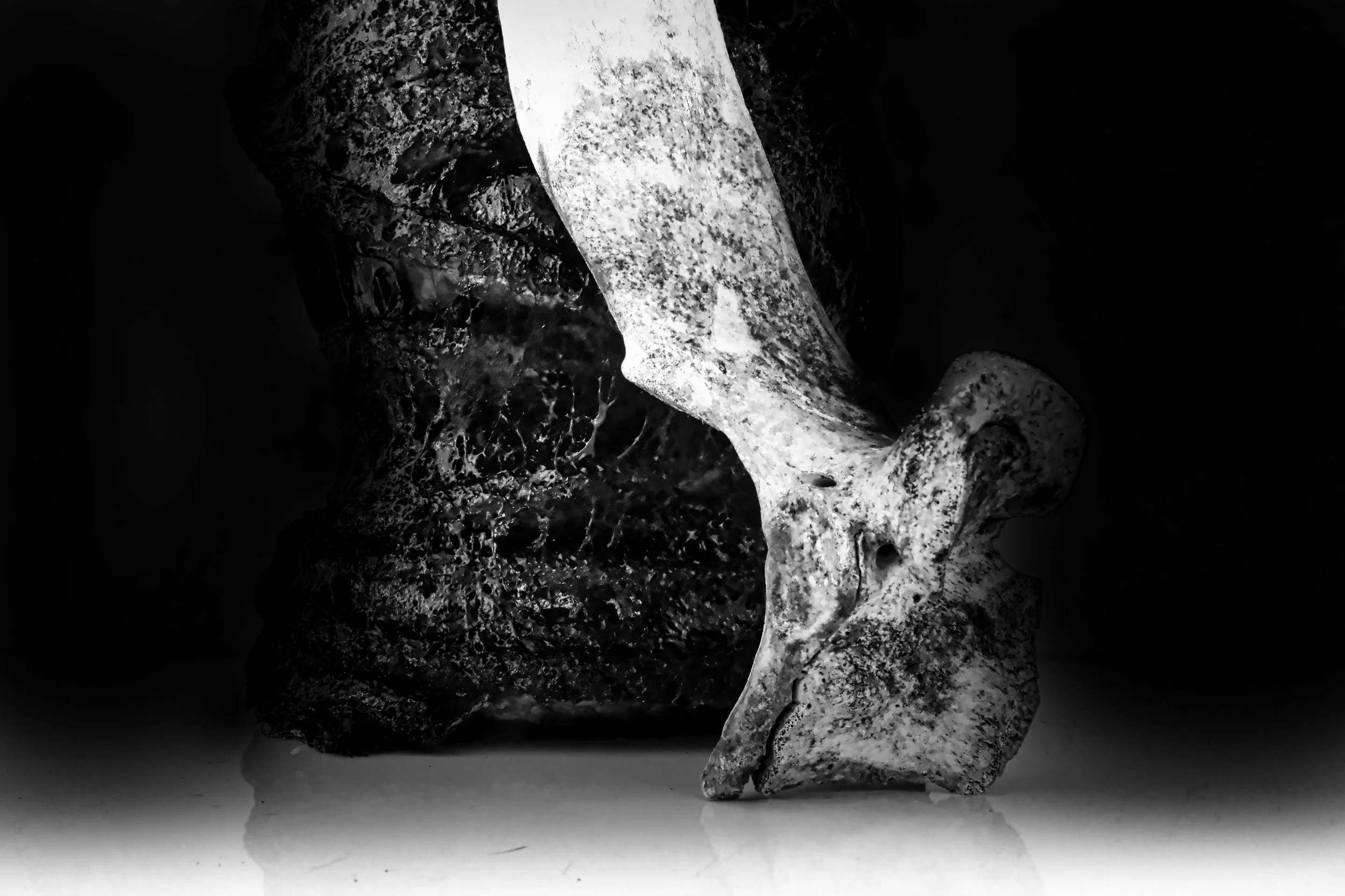 Bone FigureHead - Studio Dentergem