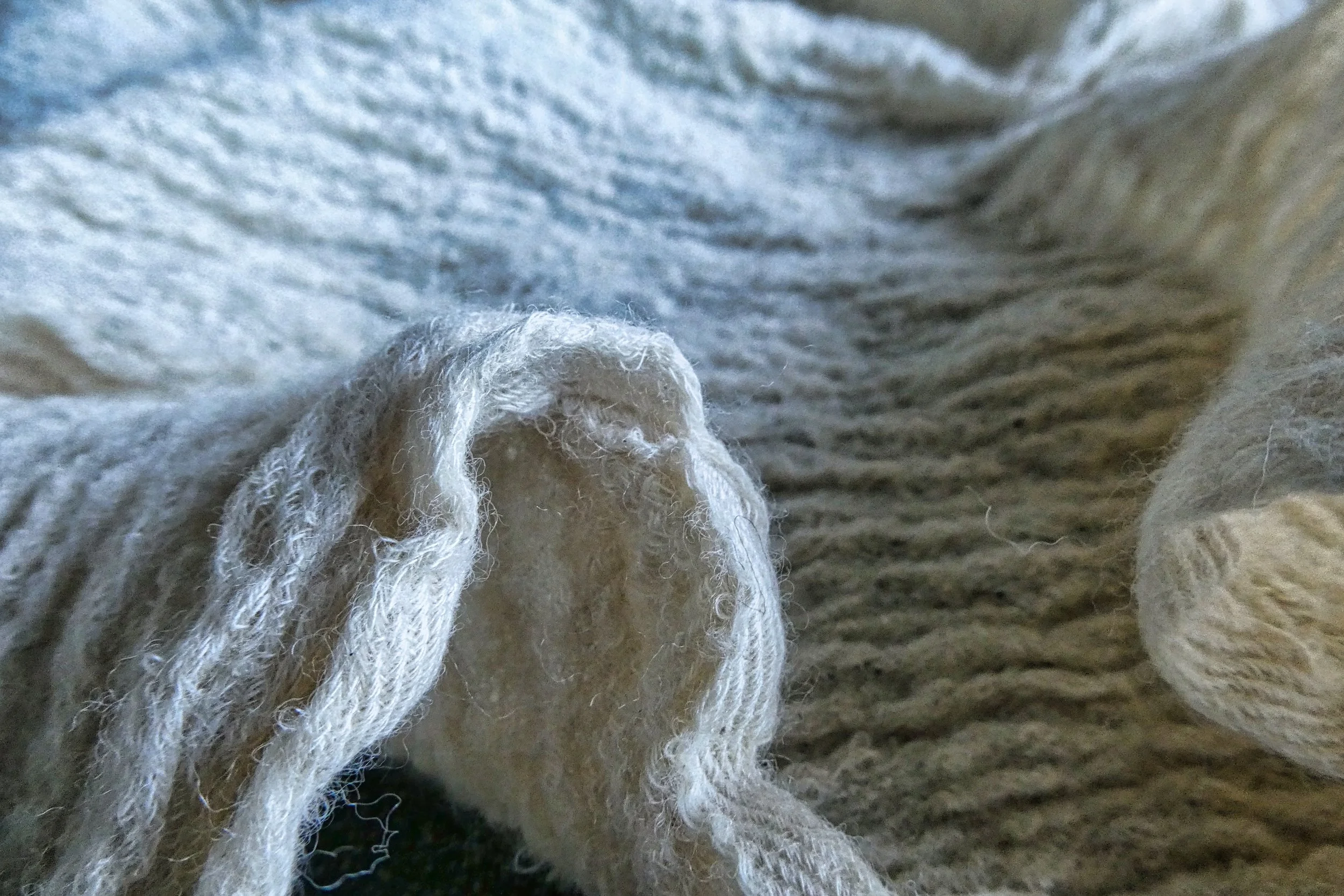 Veil - Studio Dentergem