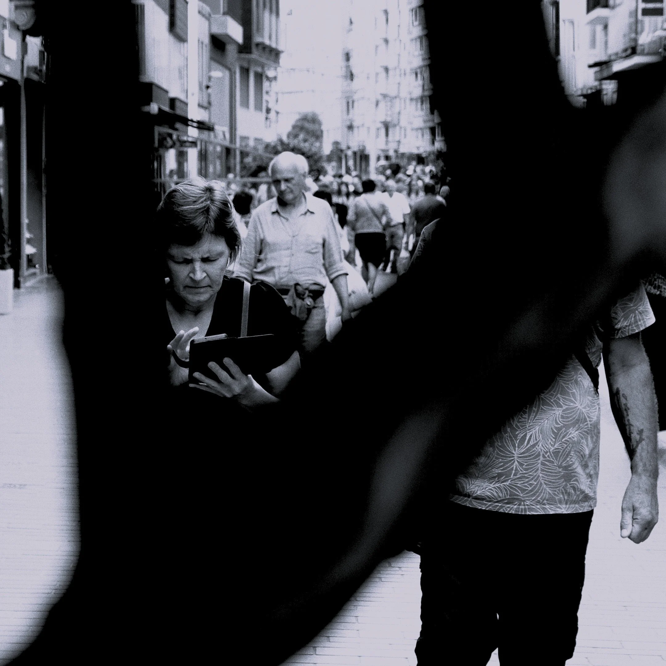 Trapped in a Tree - Ostend