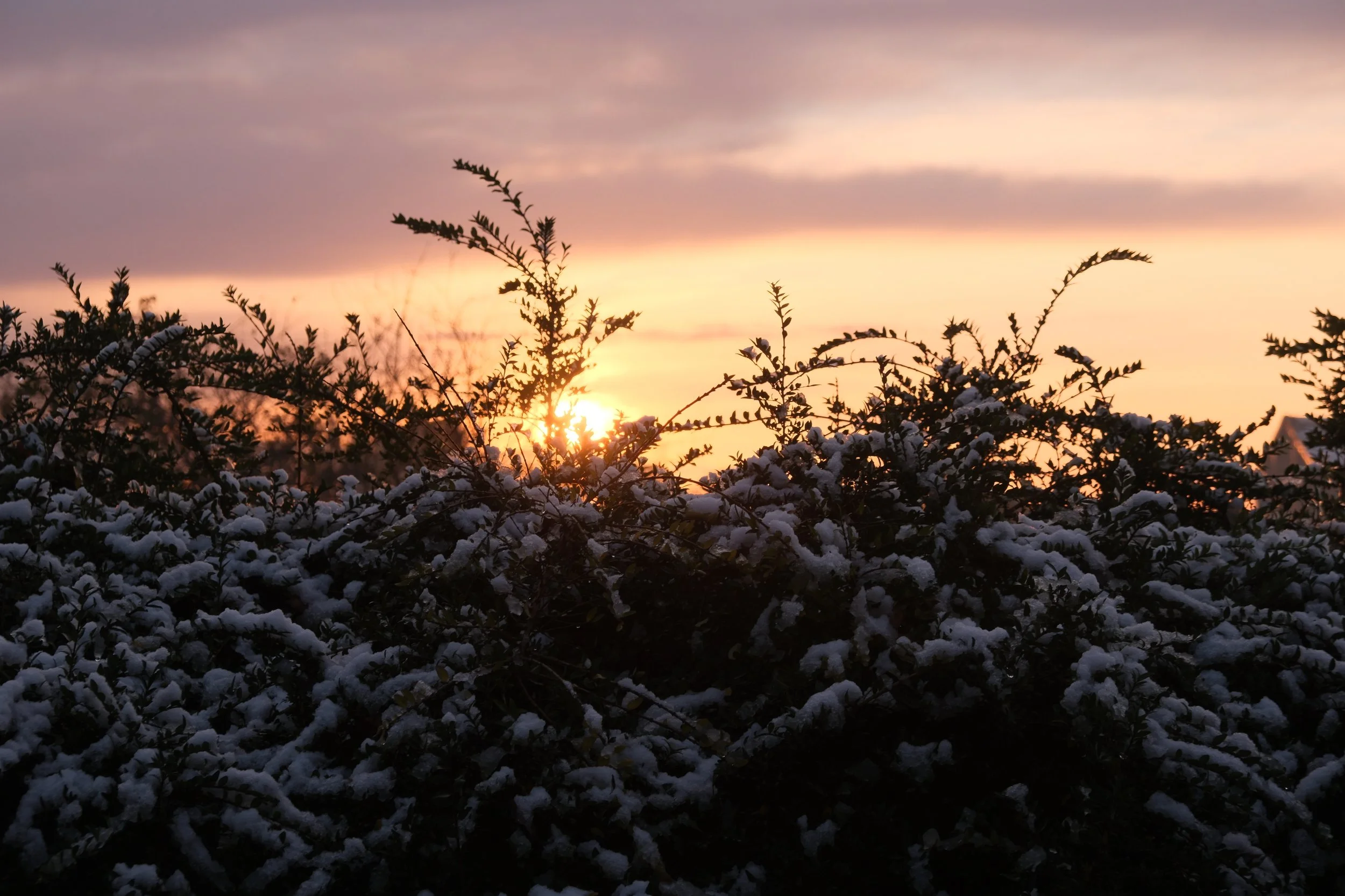 Sunset in November - Take #1 - Dentergem